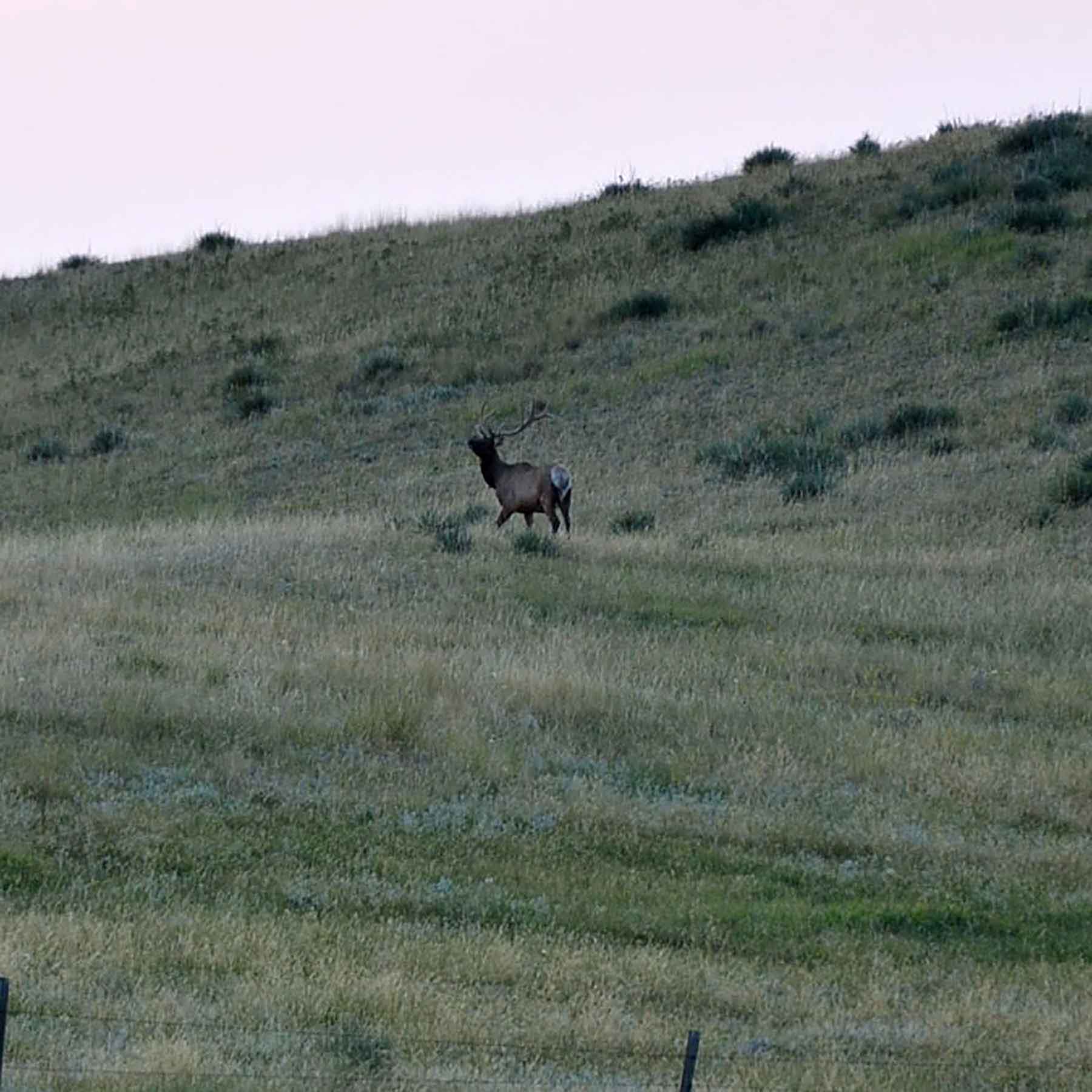Judith Mountains Ranch property picture 37 of 52