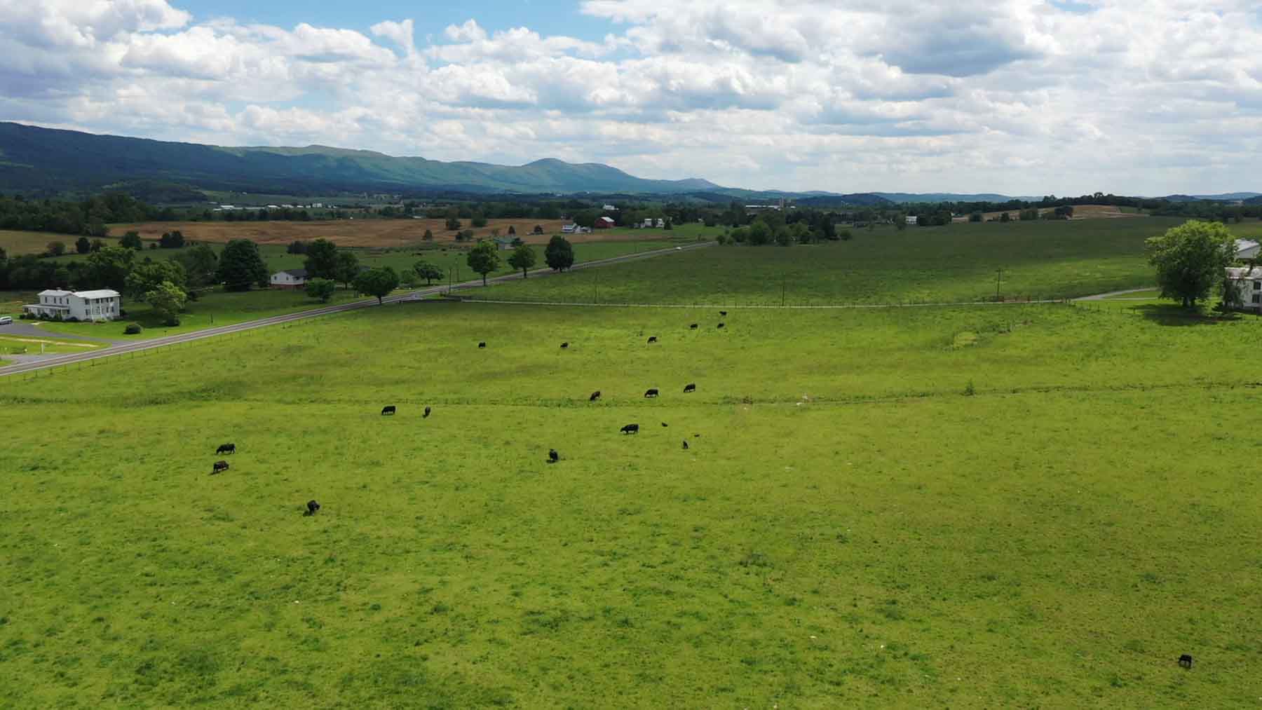 Woodside Farms property picture 24 of 90