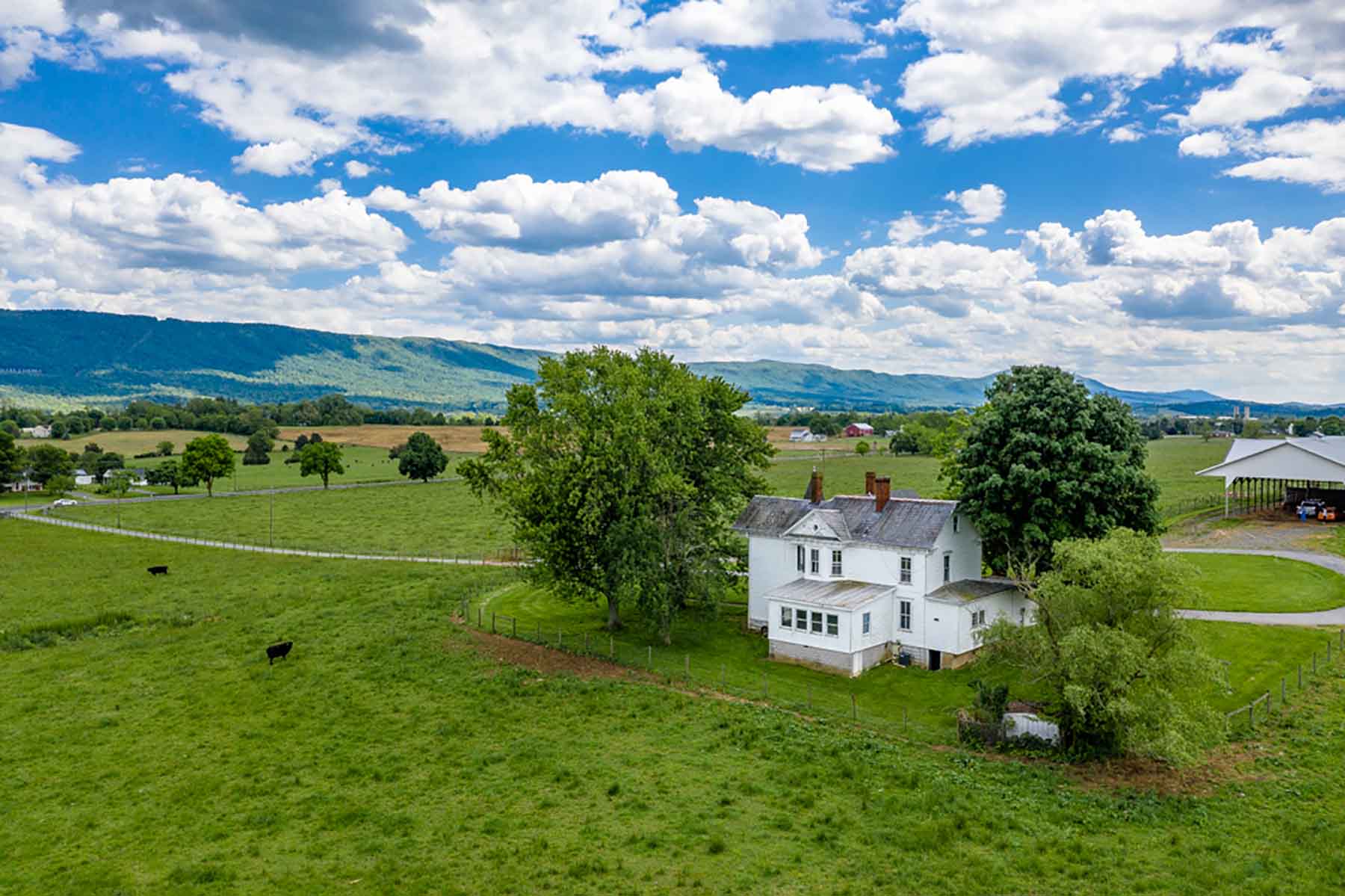 Woodside Farms Past Auction Virginia Hall and Hall