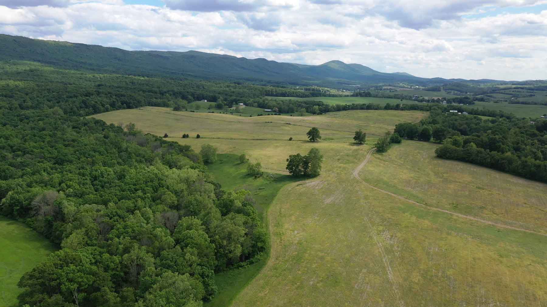 Woodside Farms property picture 46 of 90