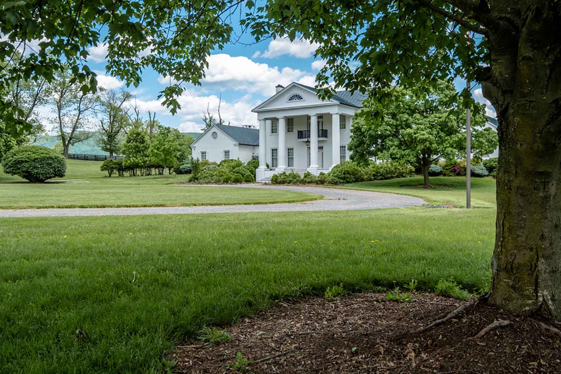 Woodside Farms Past Auction Virginia Hall and Hall