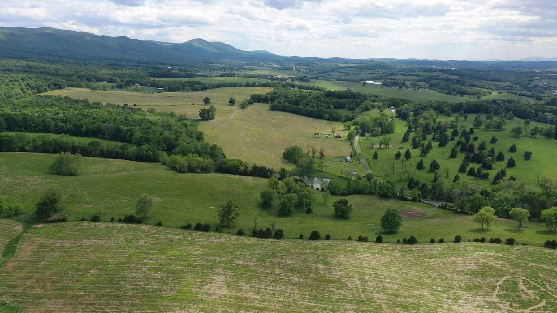 Woodside Farms property picture 44 of 90