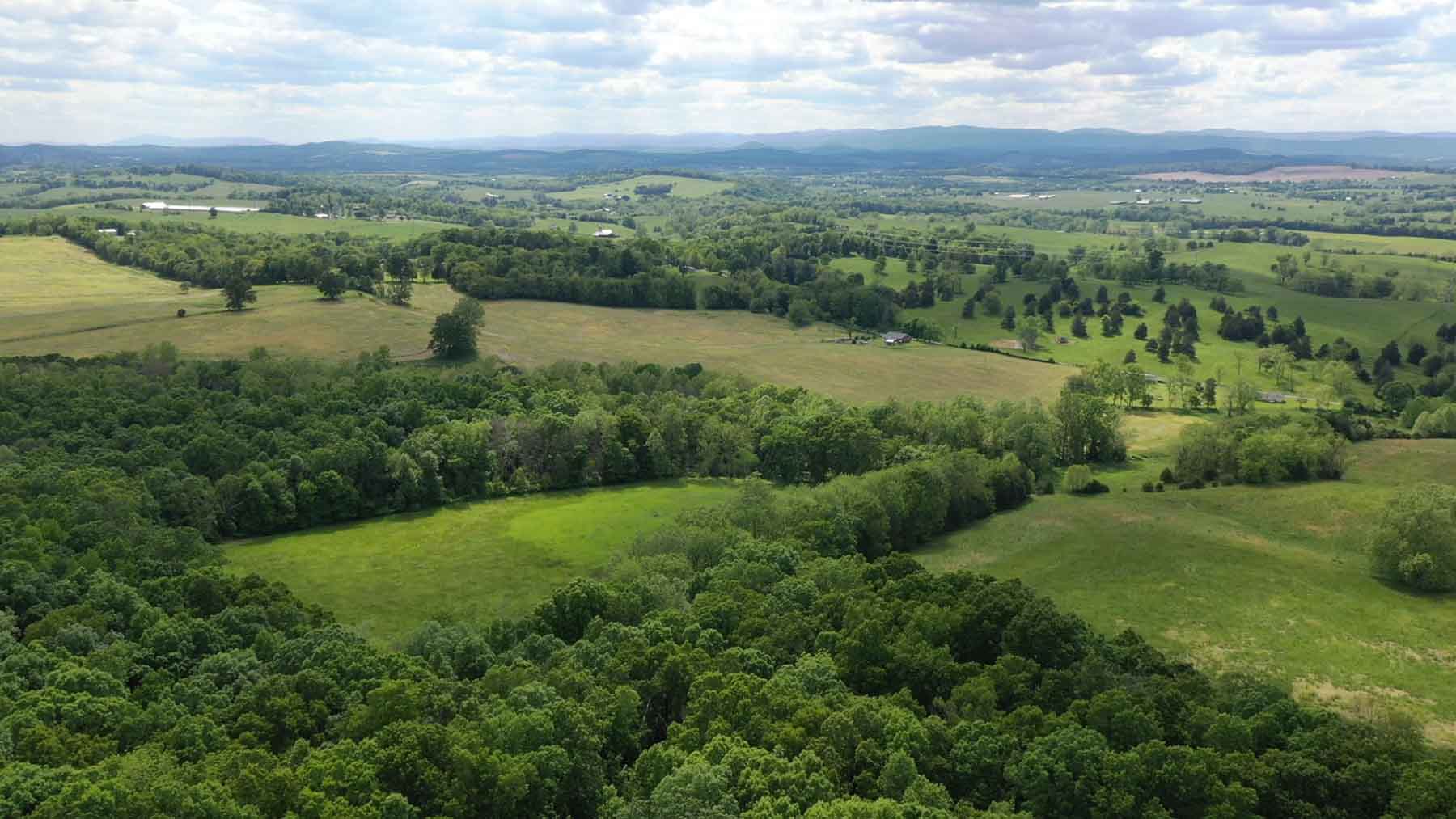 Woodside Farms property picture 42 of 90