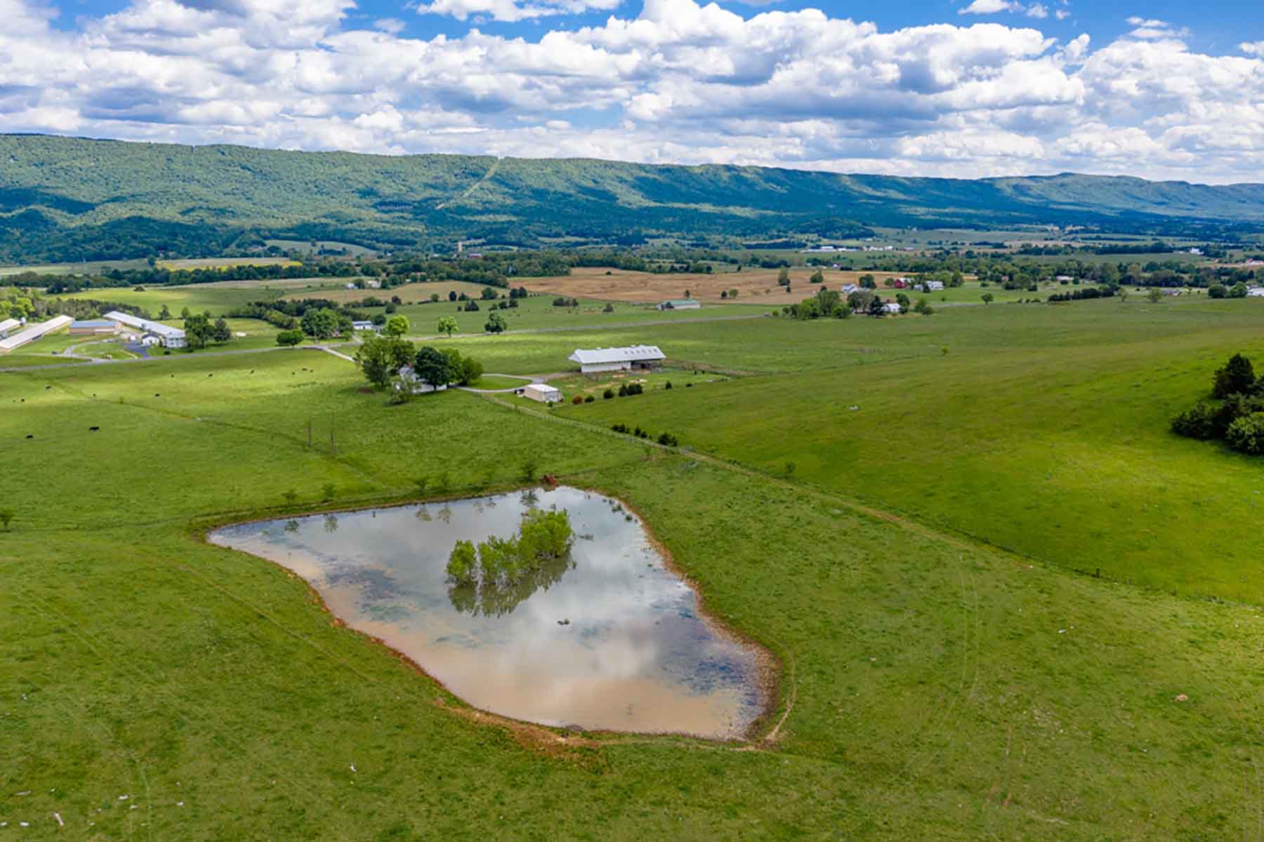 Woodside Farms property picture 17 of 90