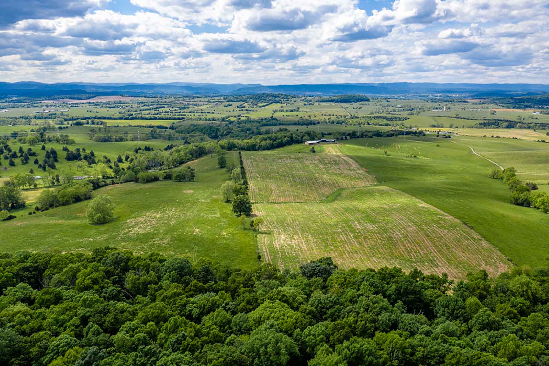 Woodside Farms property picture 39 of 90