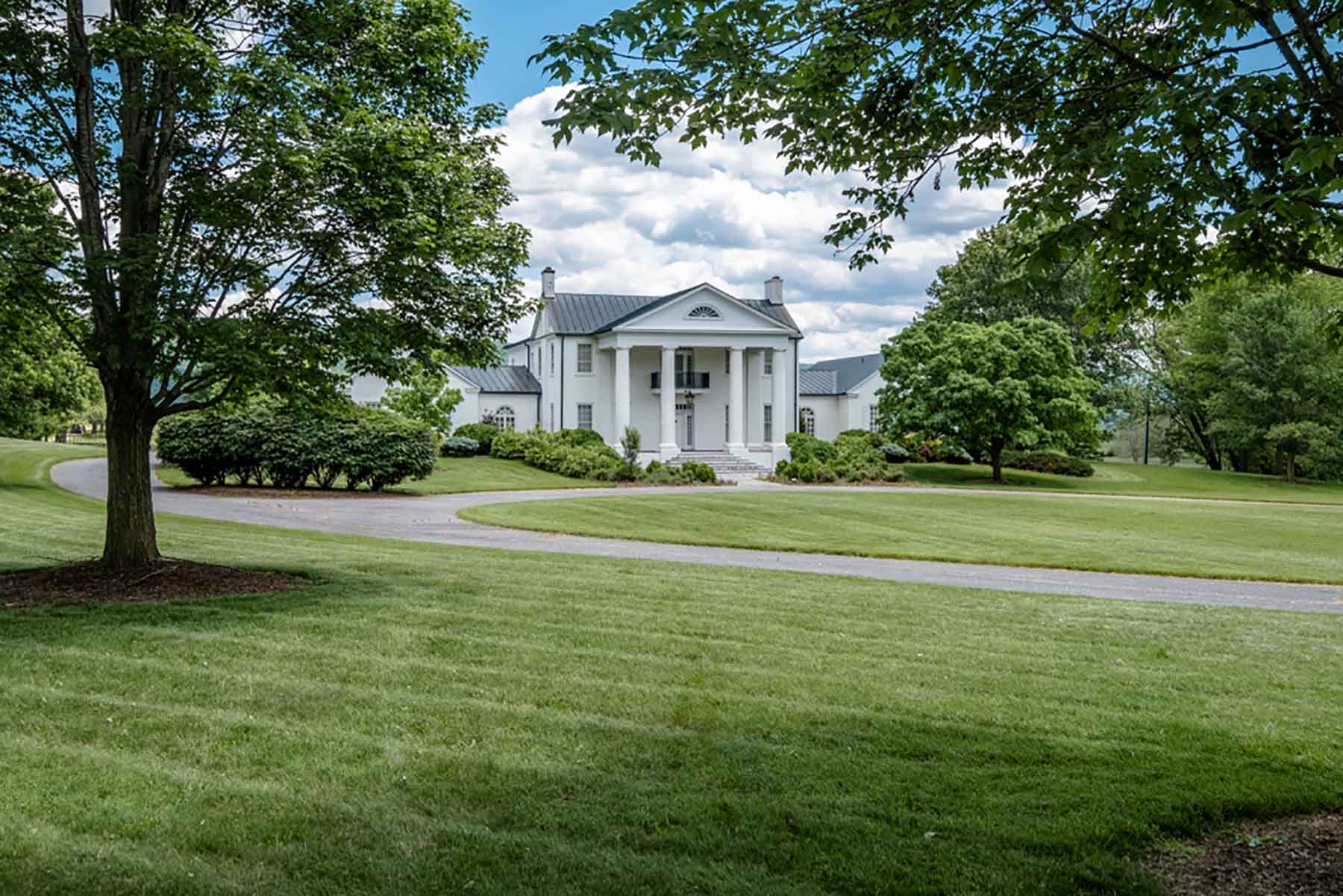 Woodside Farms Past Auction Virginia Hall and Hall