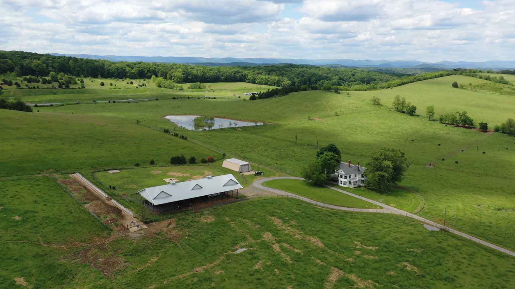 Woodside Farms Past Auction Virginia Hall and Hall