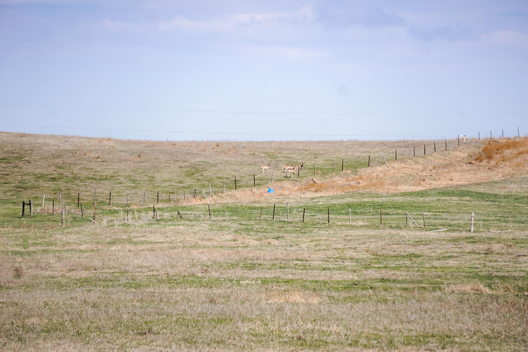 Cherry County Ranch property picture 3 of 5