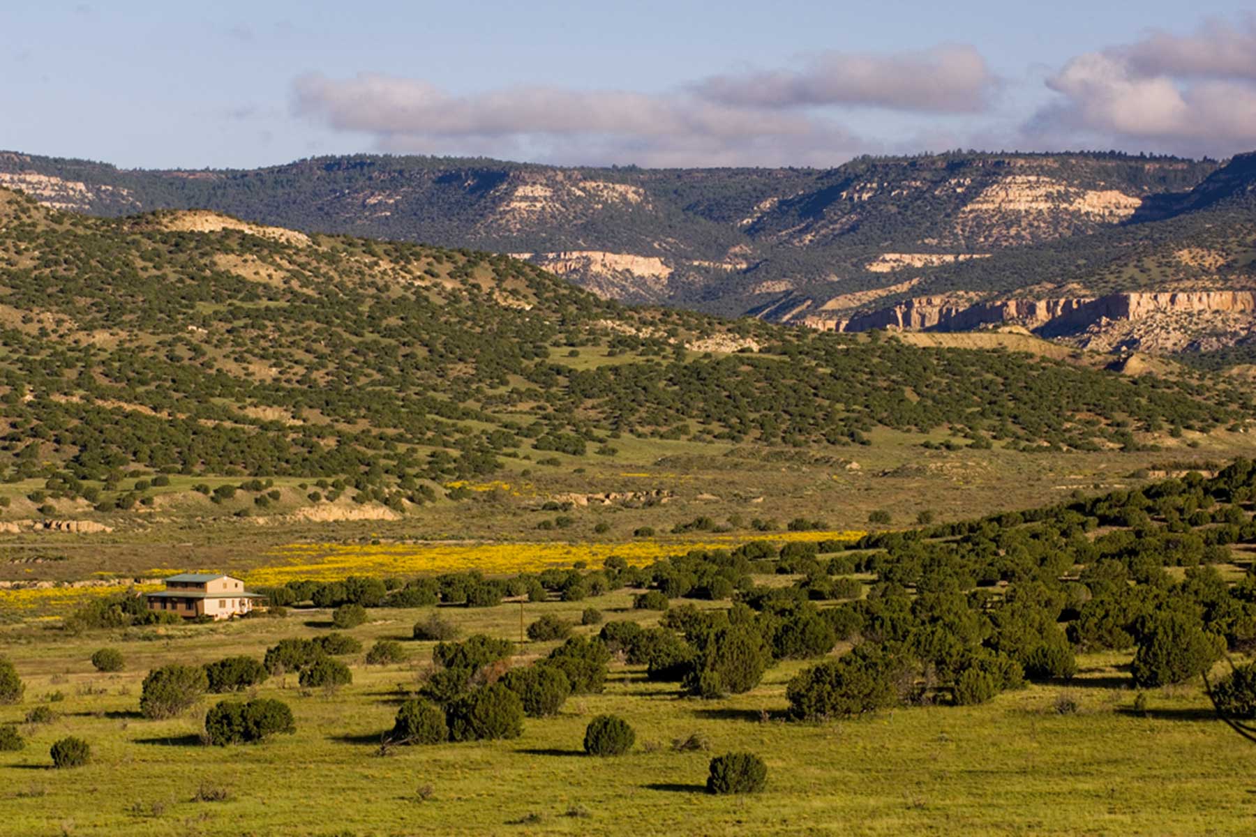 Lobo Ranch property picture 21 of 74