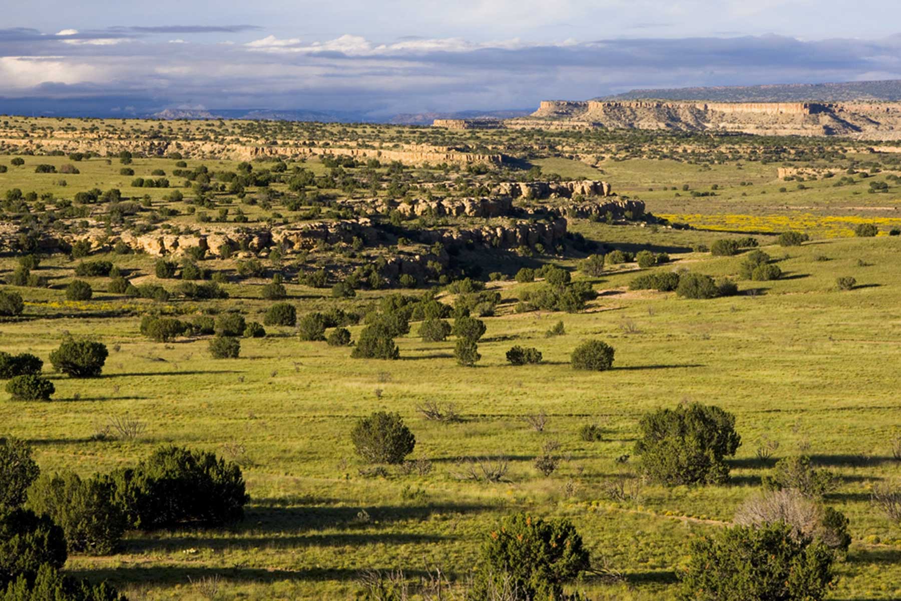 Lobo Ranch property picture 32 of 74