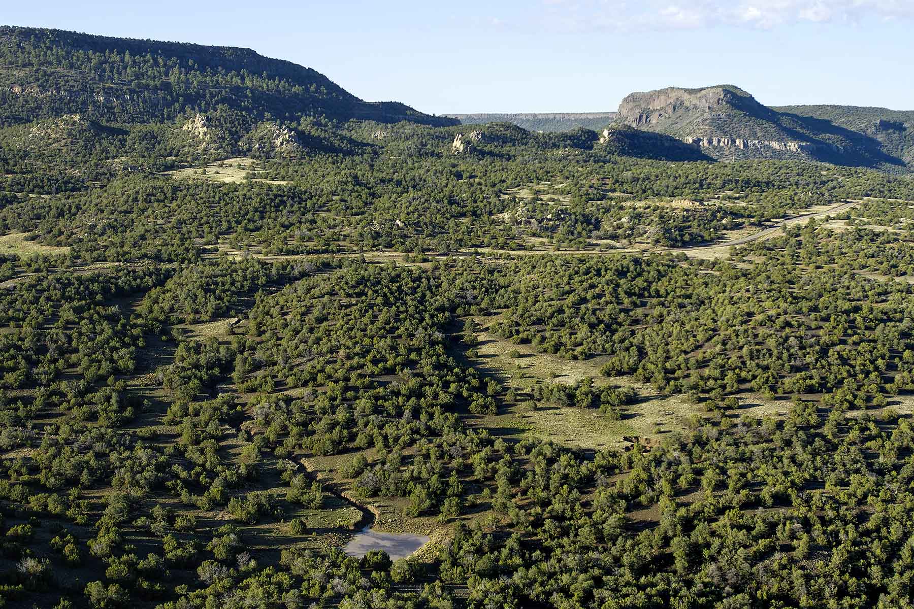 Lobo Ranch property picture 67 of 74