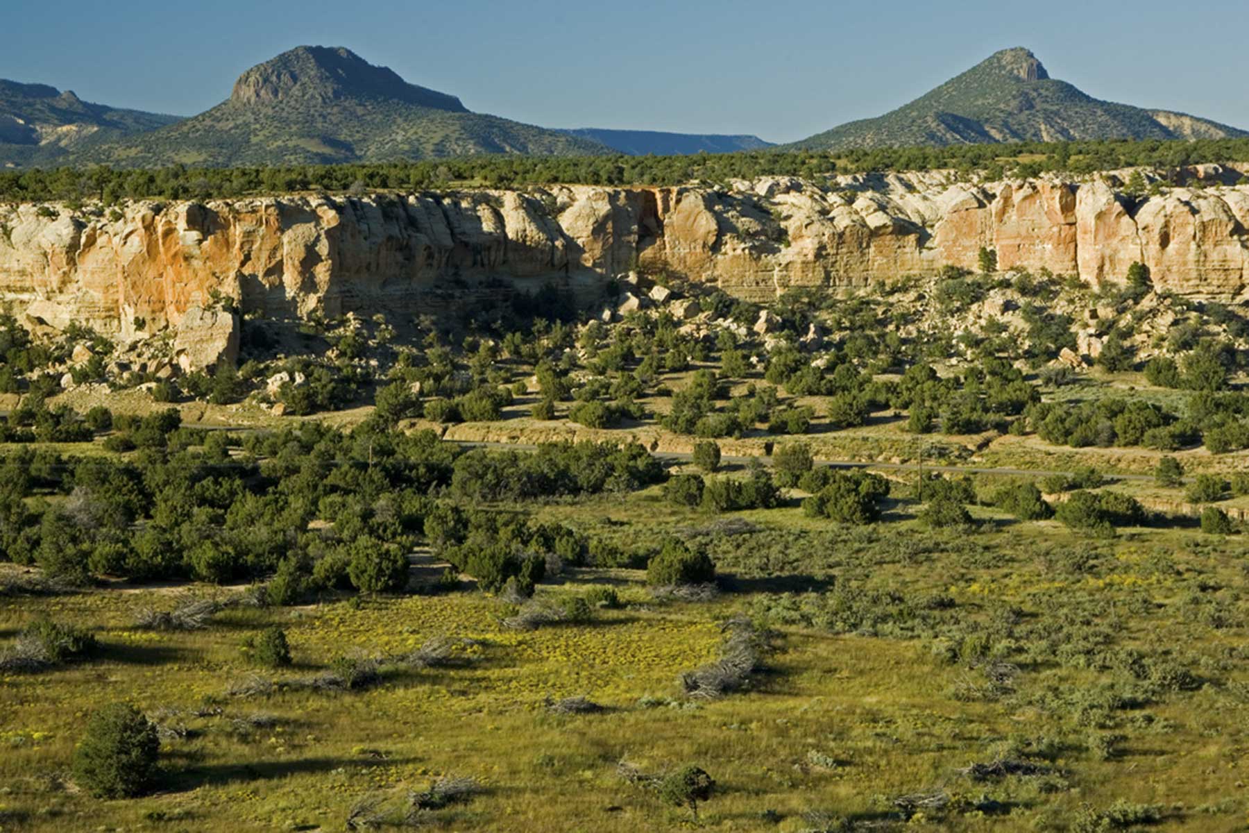 Lobo Ranch property picture 25 of 74