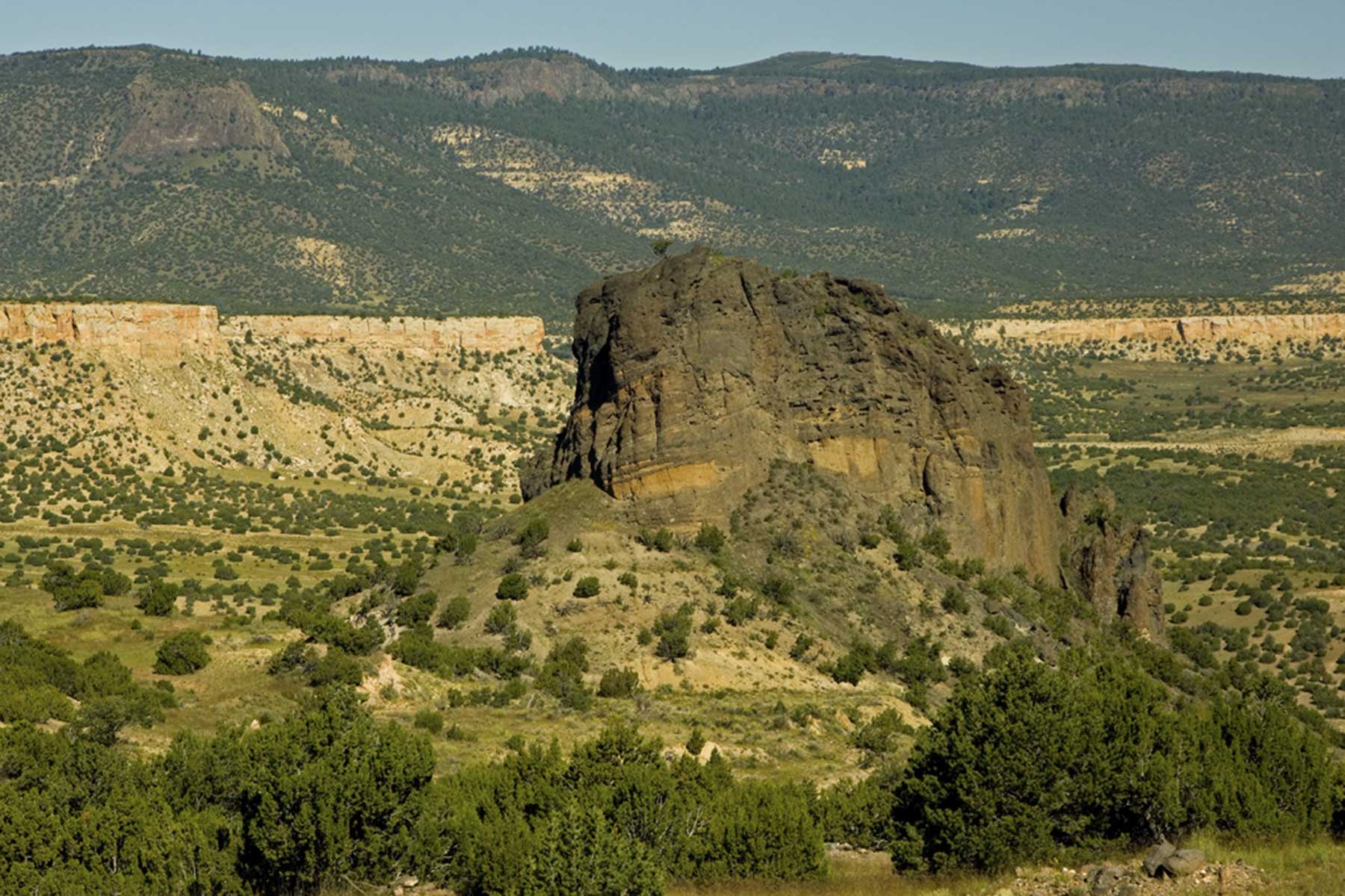 Lobo Ranch property picture 6 of 74