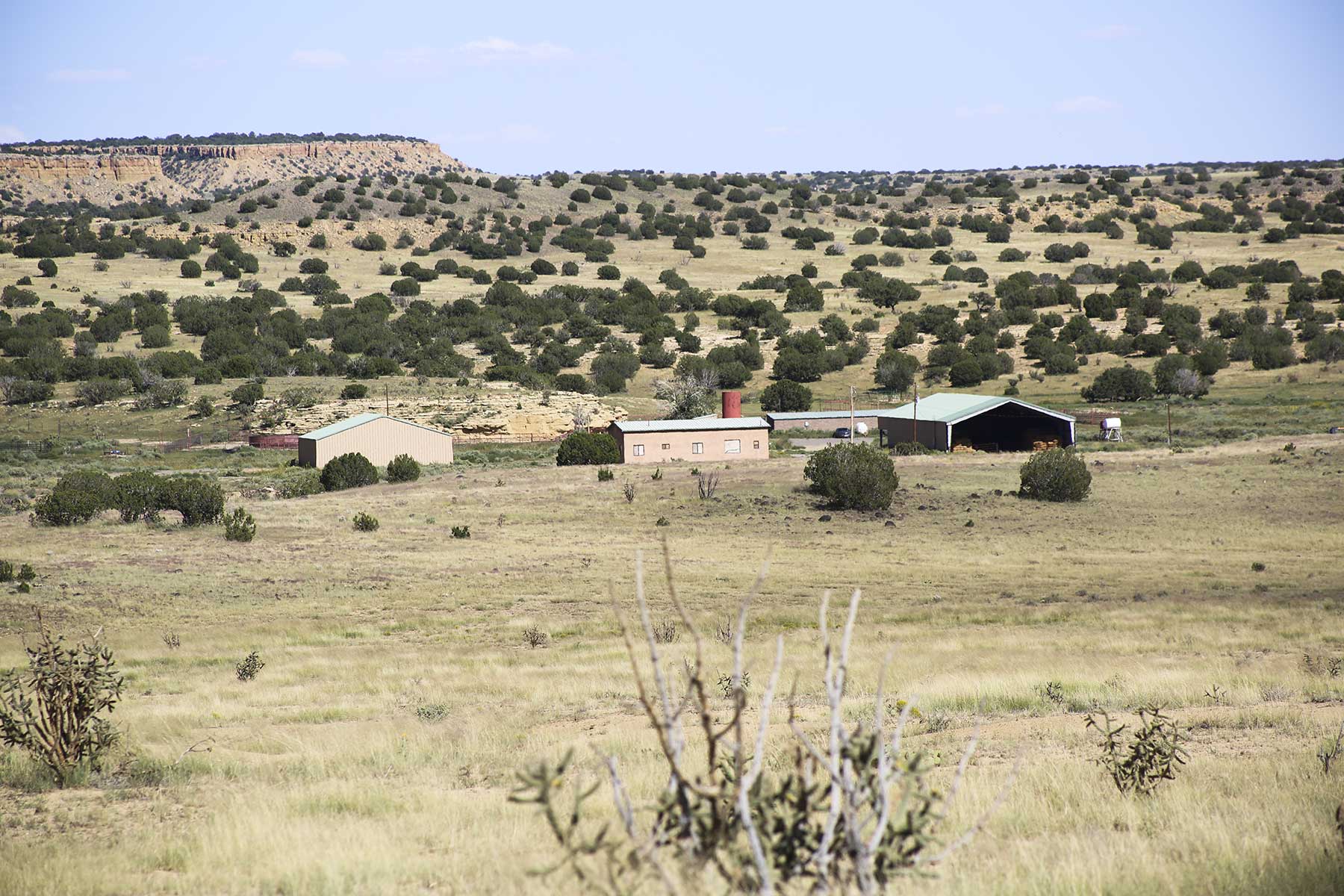 Lobo Ranch property picture 38 of 74