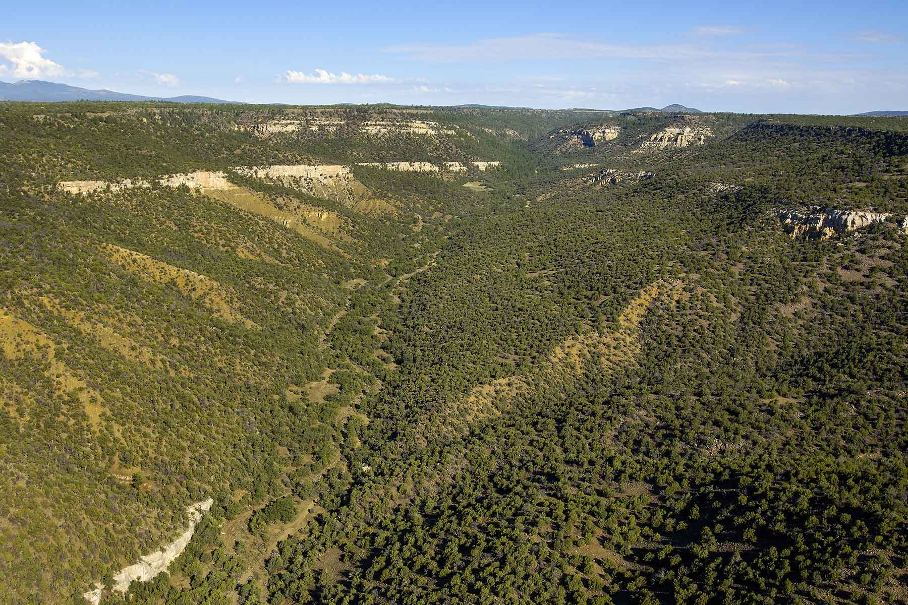 Lobo Ranch property picture 70 of 74