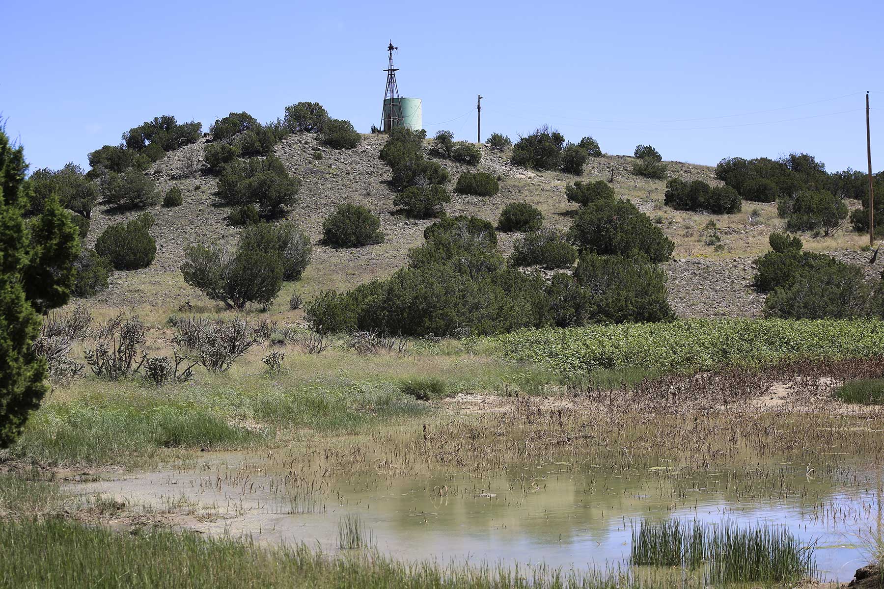 Lobo Ranch property picture 35 of 74