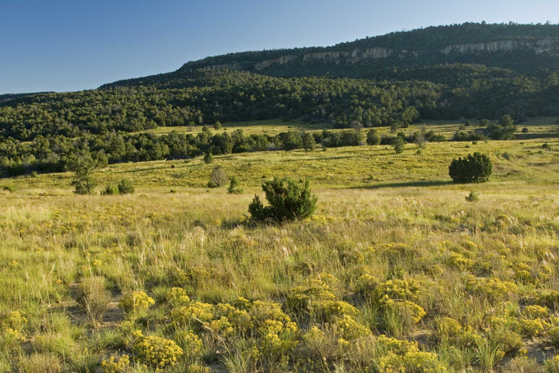 Lobo Ranch property picture 27 of 74