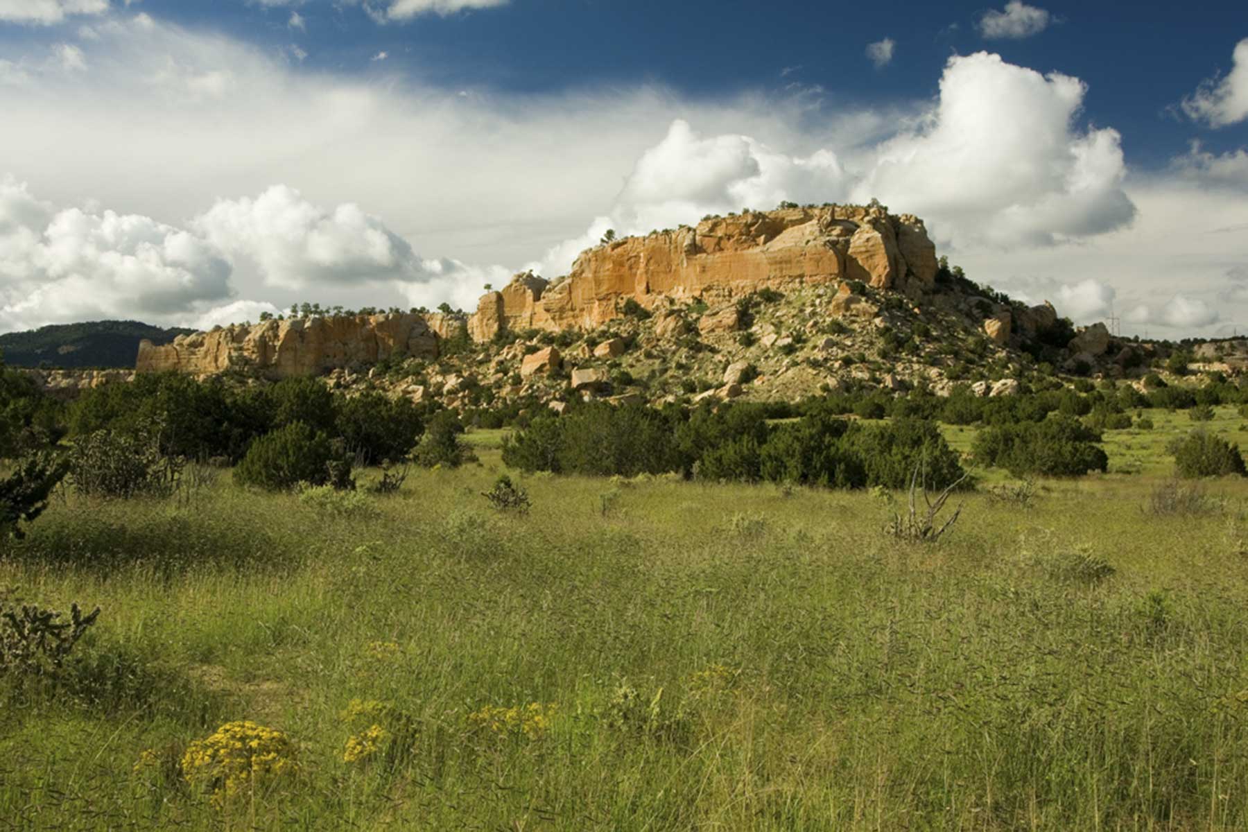 Lobo Ranch property picture 23 of 74