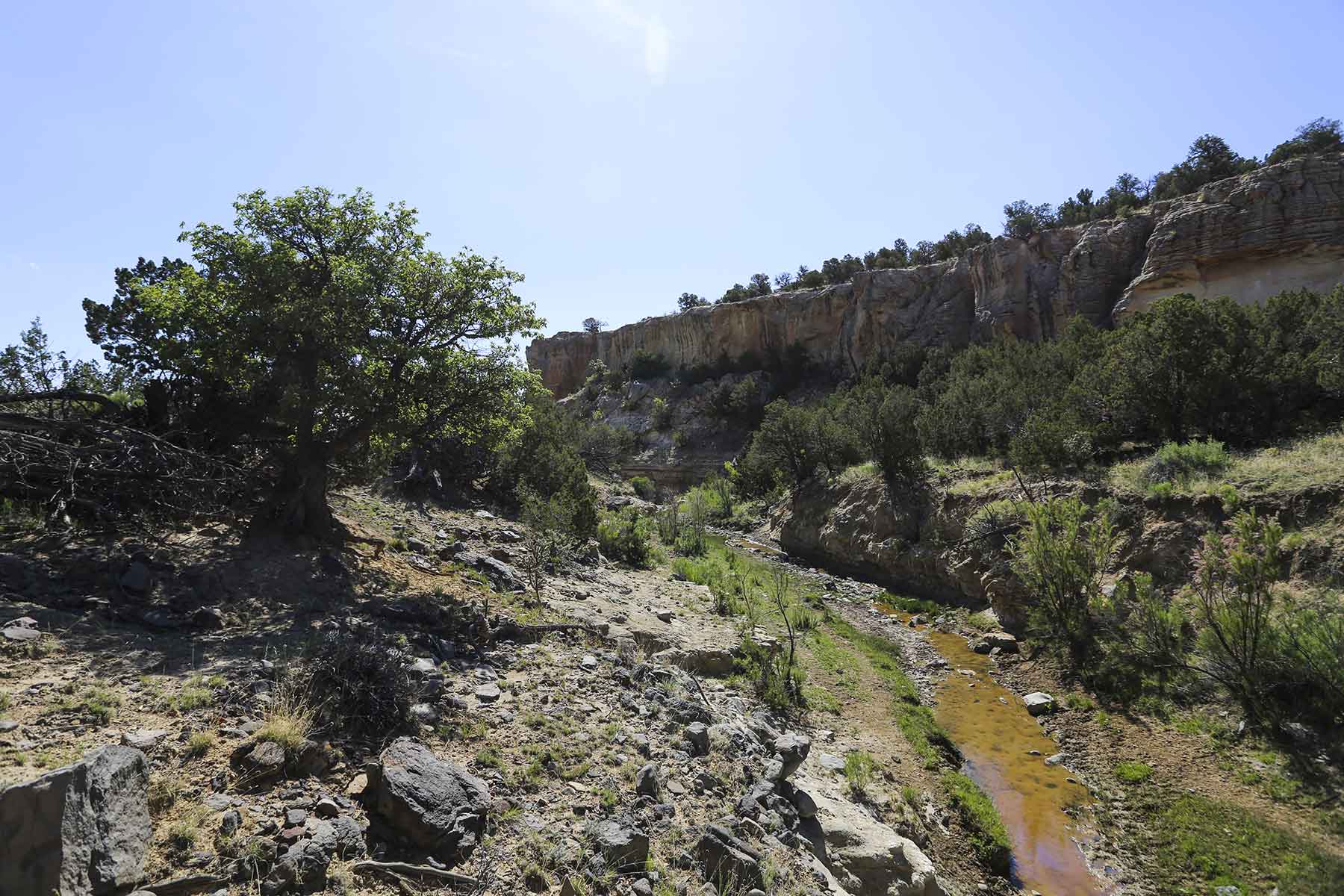 Lobo Ranch property picture 71 of 74