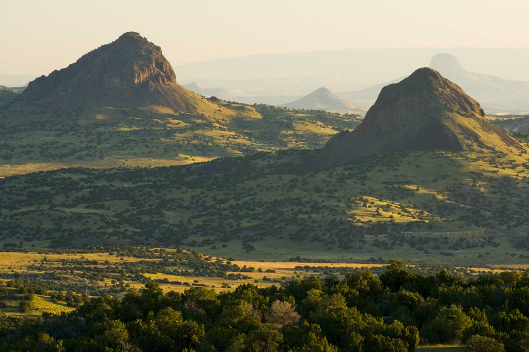 Lobo Ranch property picture 10 of 74