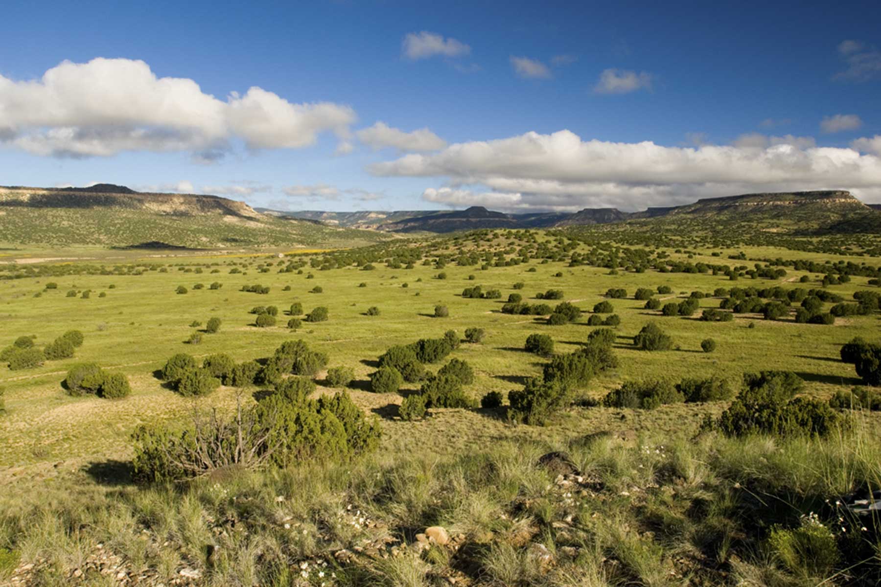 Lobo Ranch property picture 3 of 74