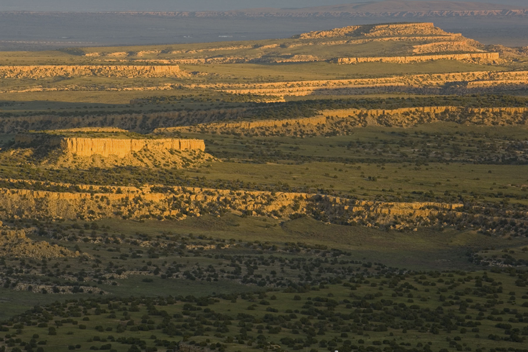 Lobo Ranch property picture 29 of 74