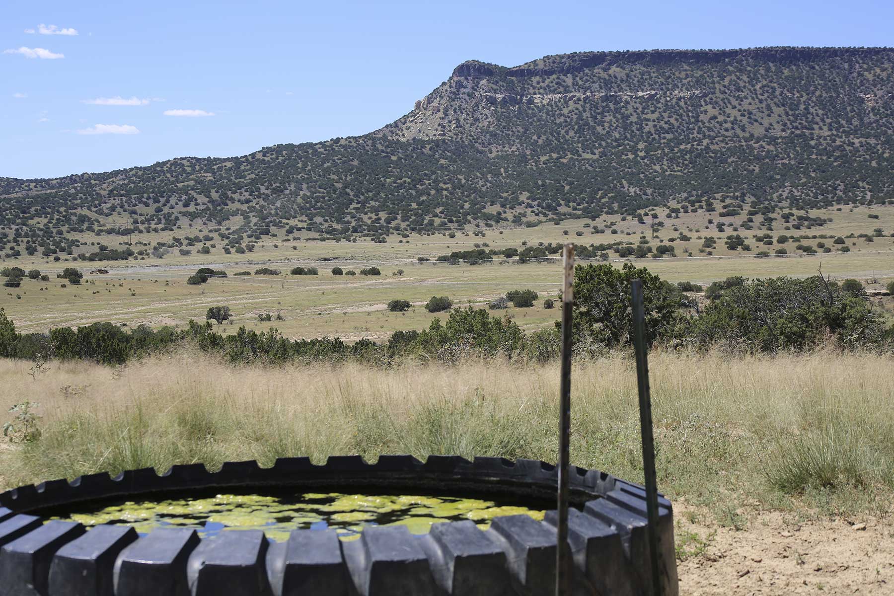 Lobo Ranch property picture 34 of 74