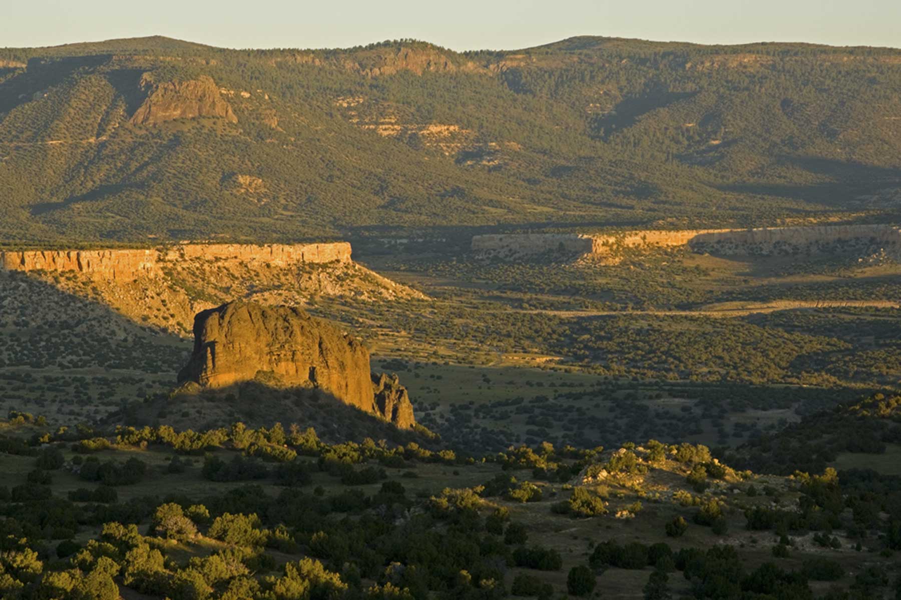 Lobo Ranch property picture 7 of 74