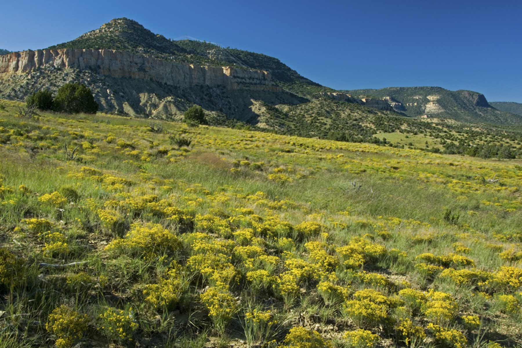 Lobo Ranch property picture 24 of 74