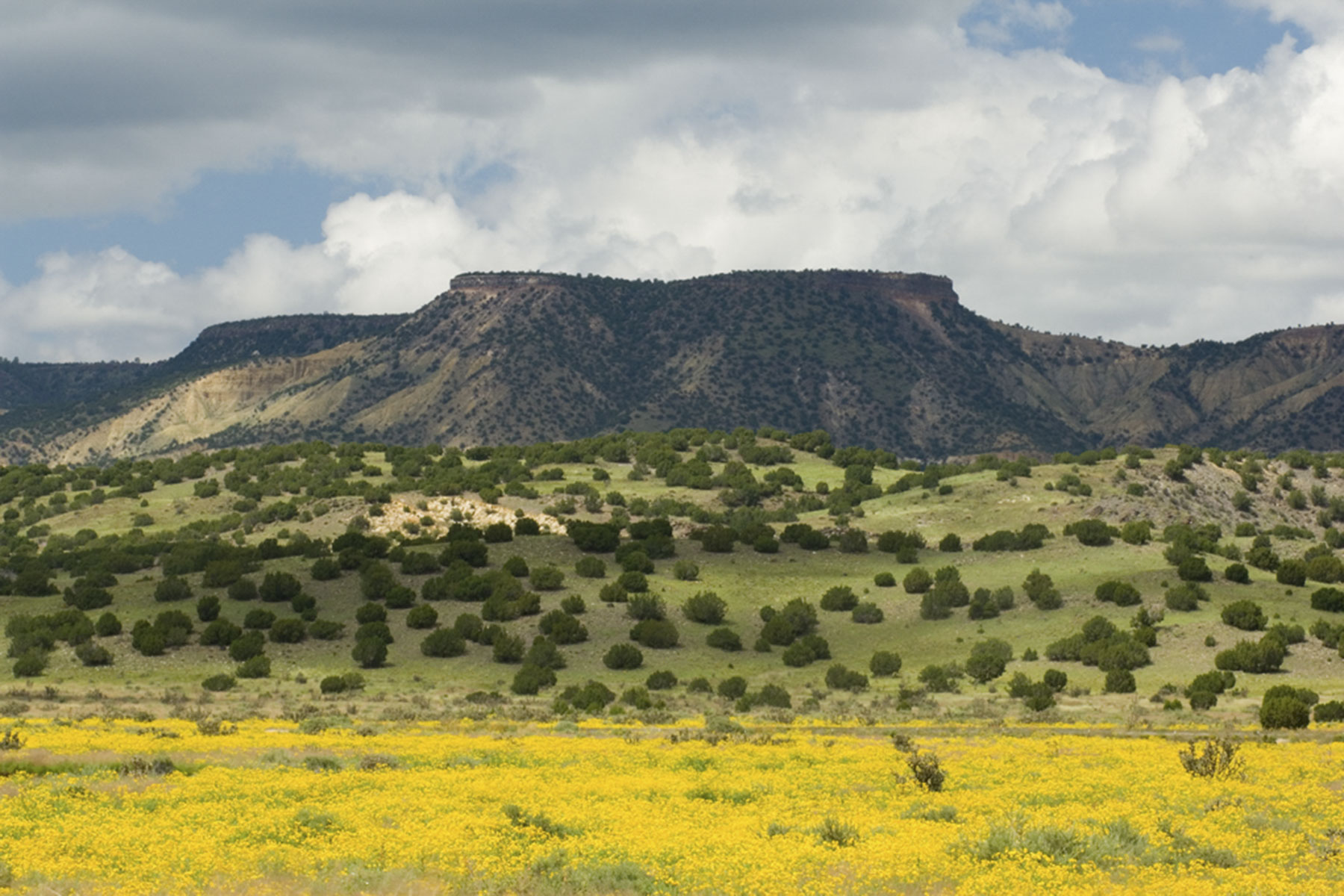 Lobo Ranch property picture 4 of 74