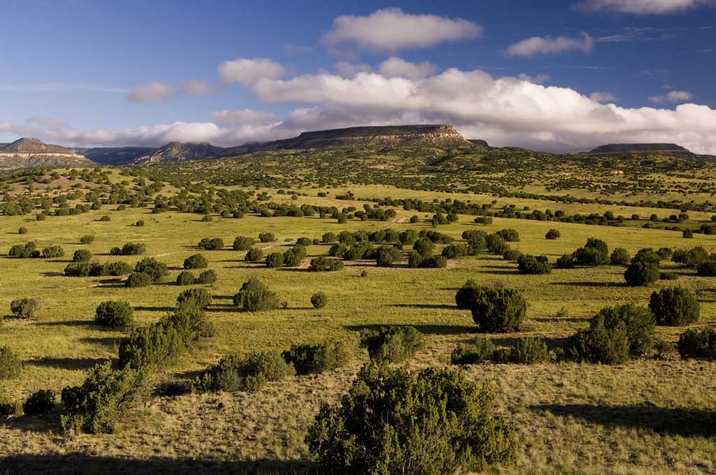 Lobo Ranch property picture 30 of 74