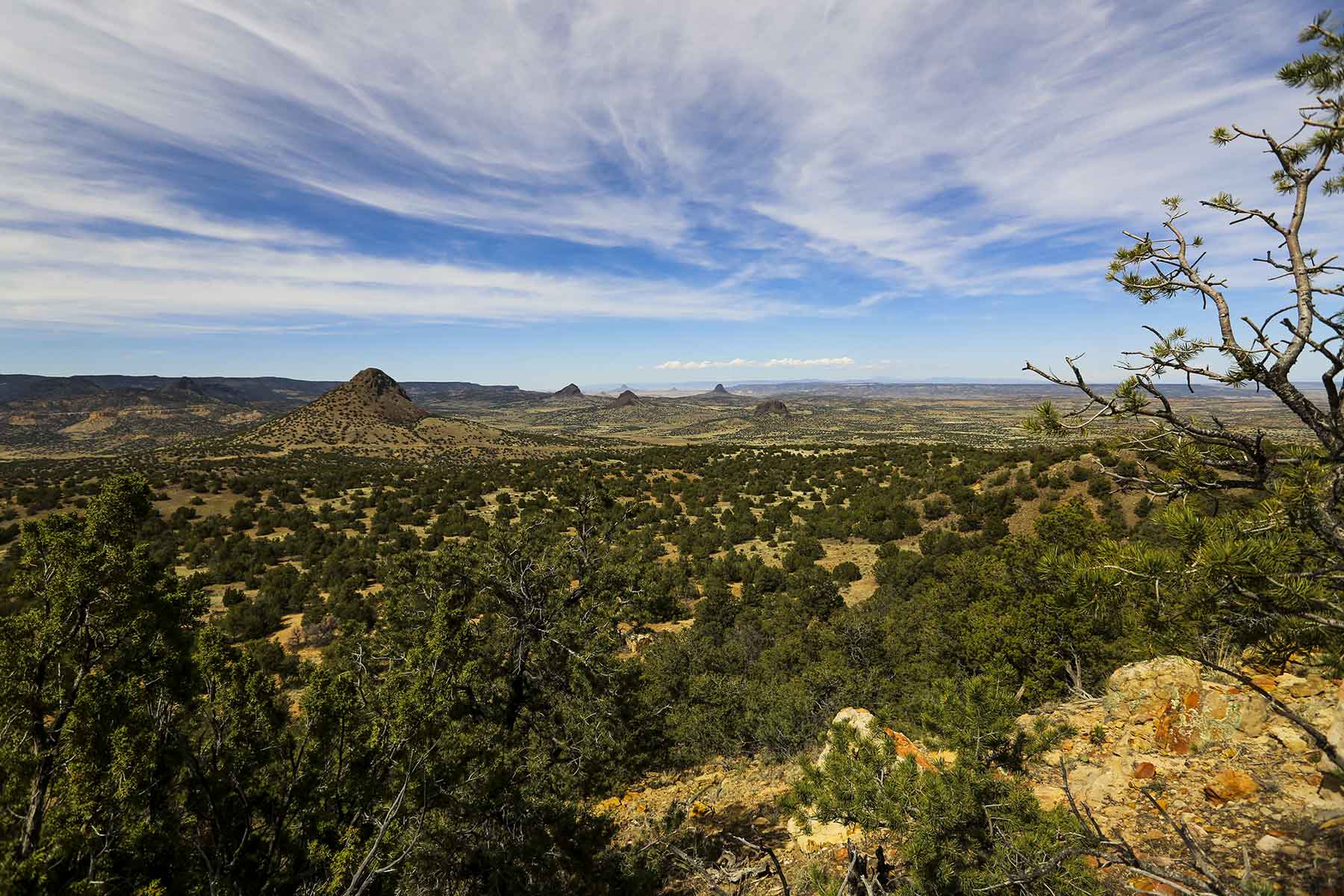 Lobo Ranch property picture 55 of 74