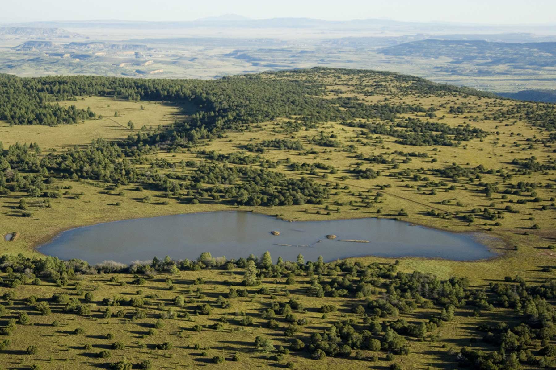 Lobo Ranch property picture 18 of 74