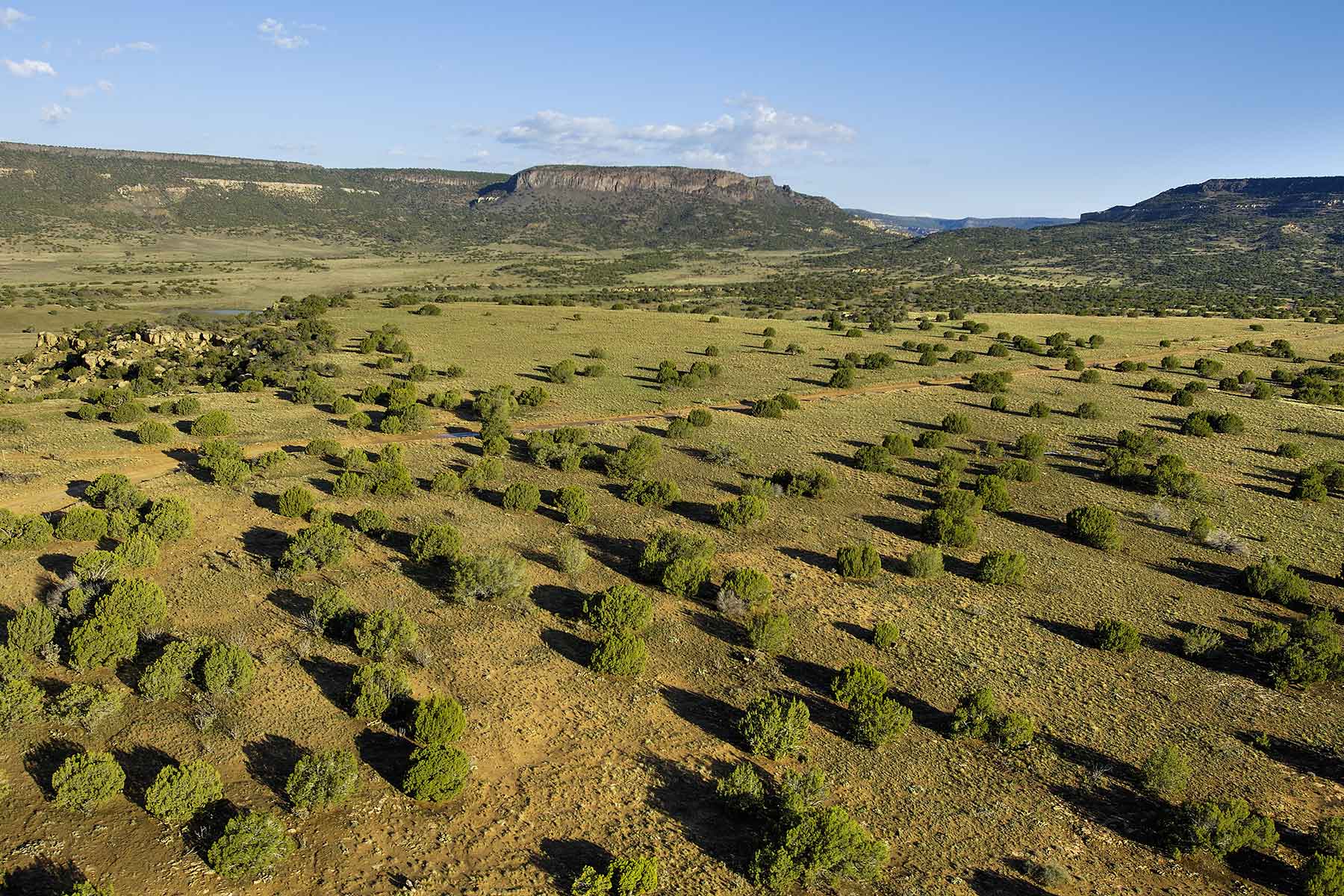 Lobo Ranch property picture 66 of 74