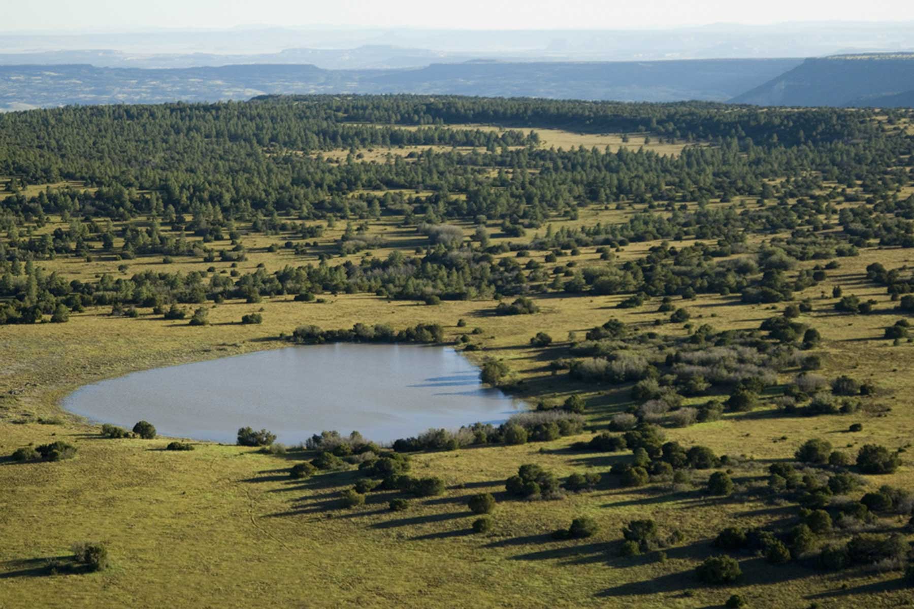Lobo Ranch property picture 17 of 74
