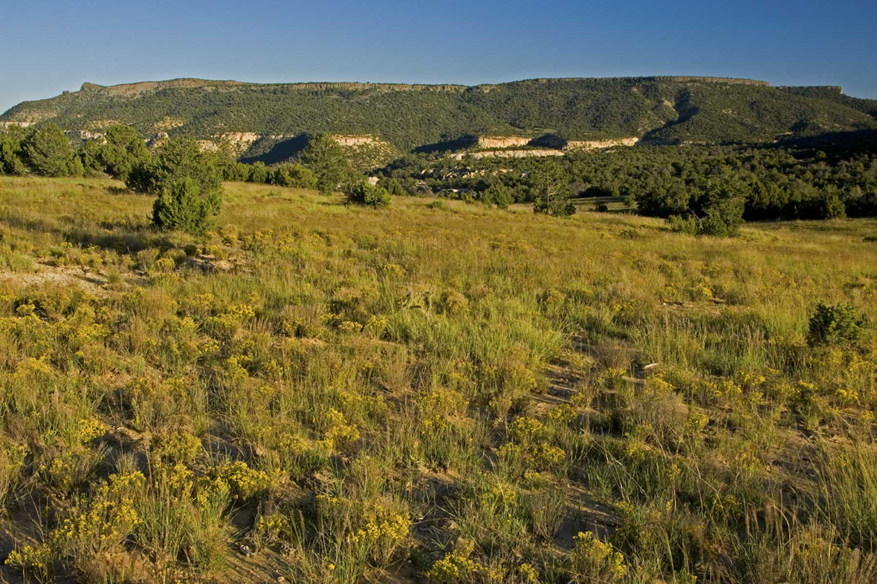 Lobo Ranch property picture 26 of 74