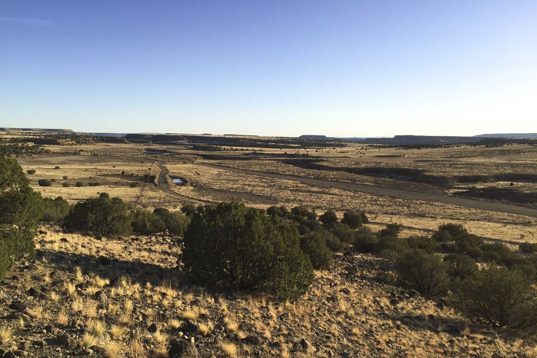 Lobo Ranch property picture 73 of 74