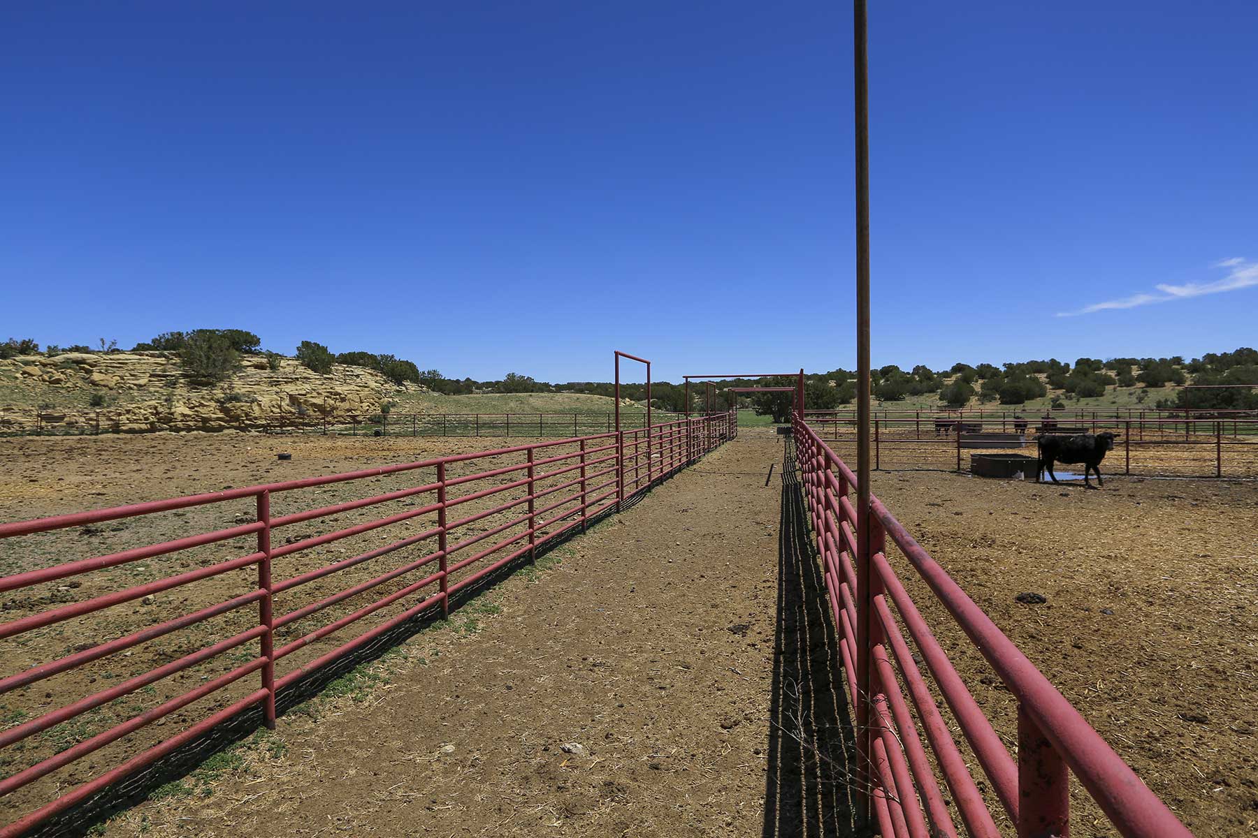 Lobo Ranch property picture 53 of 74