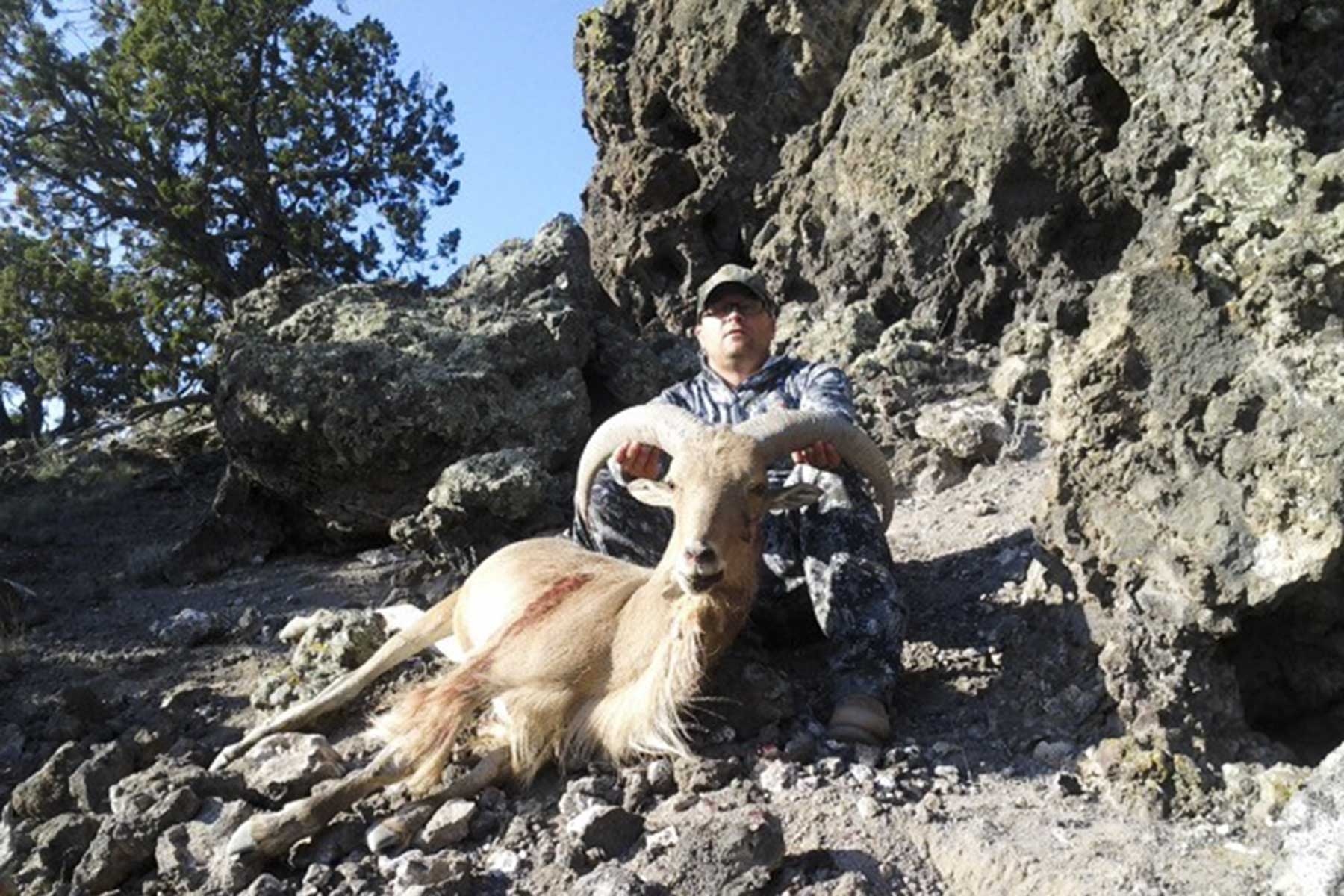 Lobo Ranch property picture 58 of 74