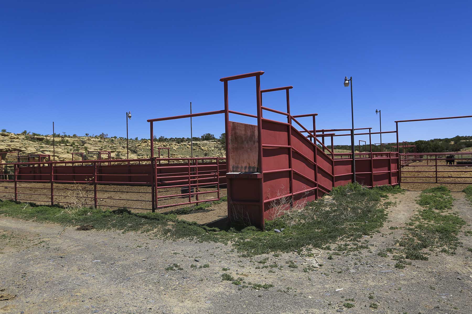 Lobo Ranch property picture 51 of 74