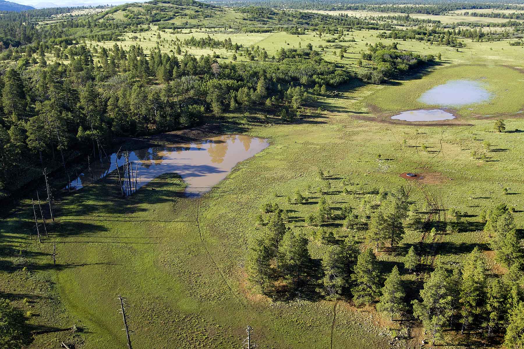 Lobo Ranch property picture 68 of 74