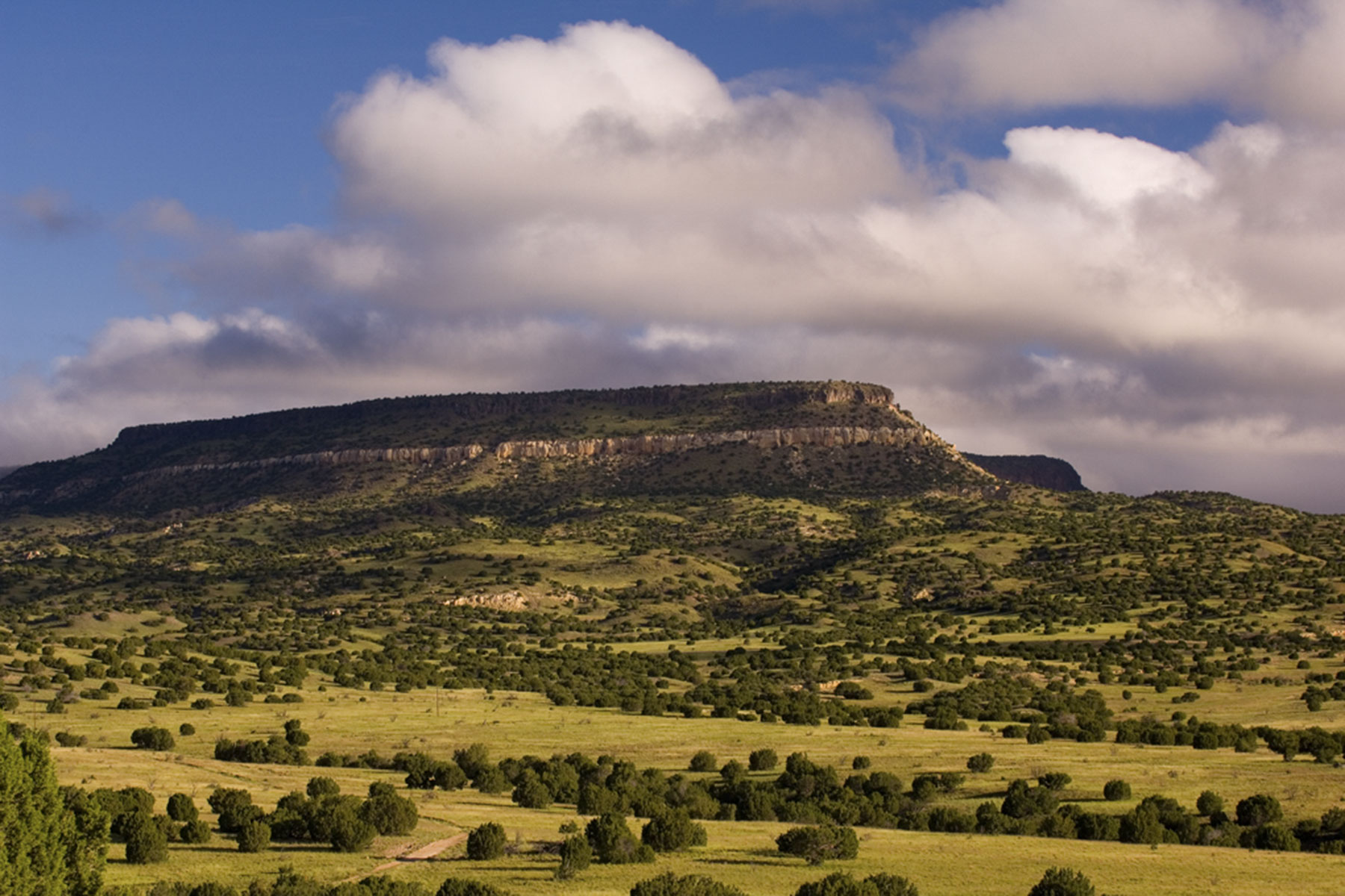 Lobo Ranch property picture 28 of 74