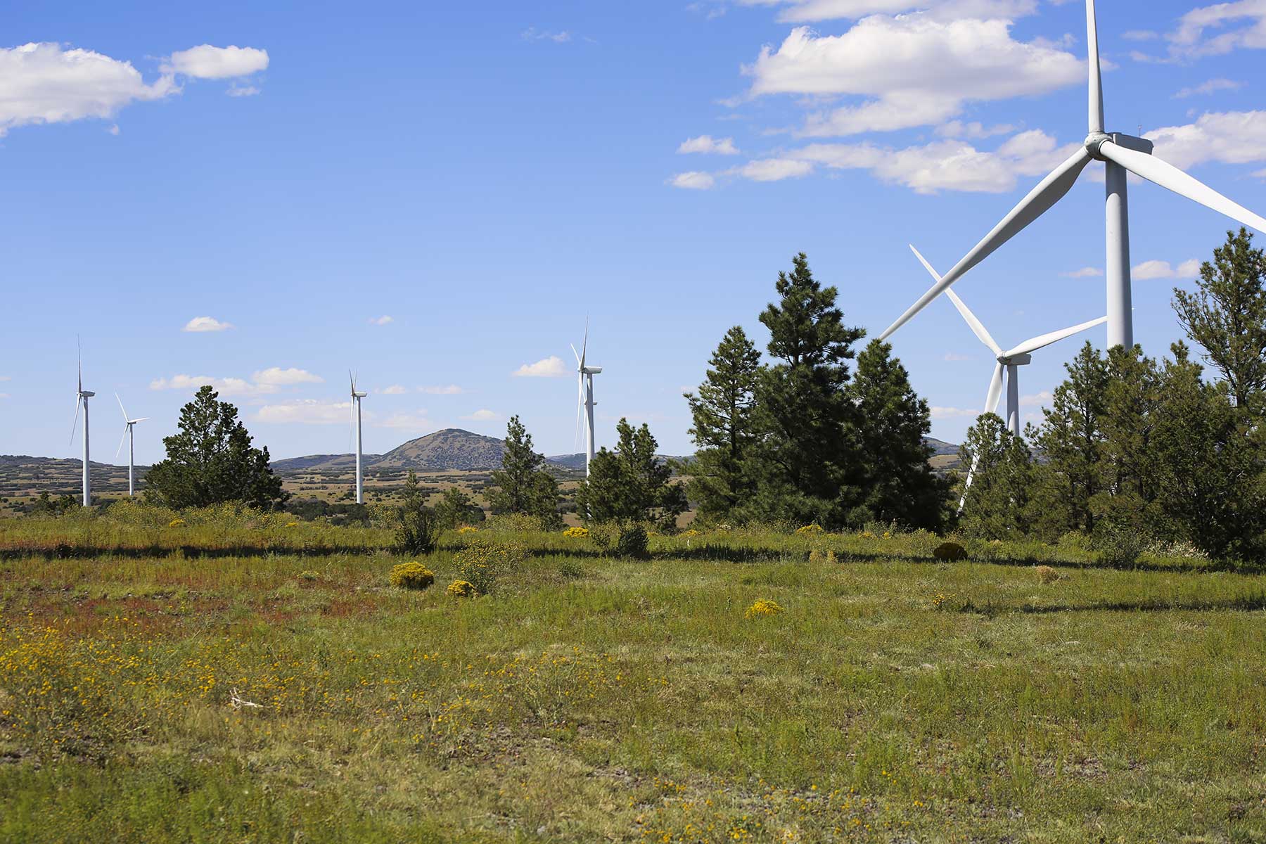 Lobo Ranch property picture 37 of 74