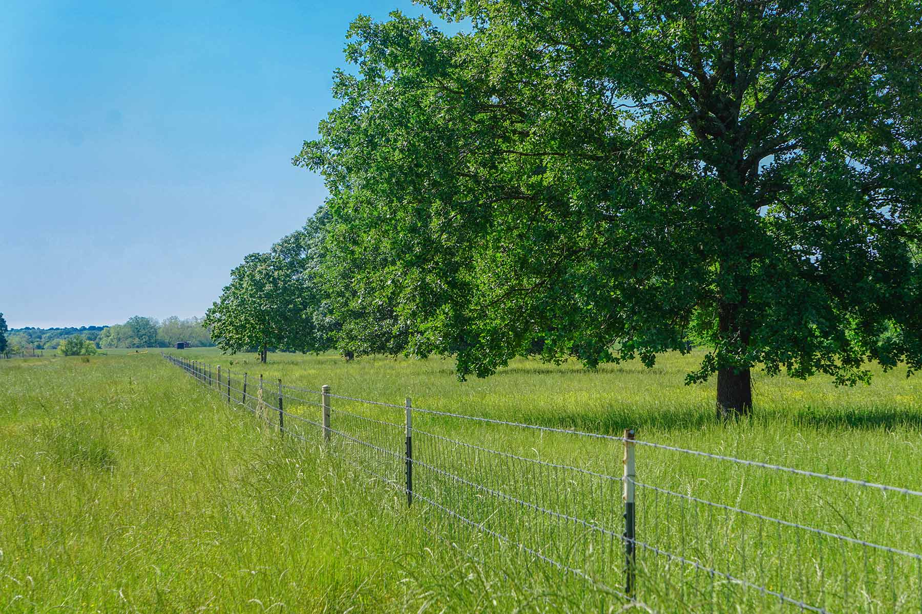 Pine Creek Ranch property picture 7 of 43