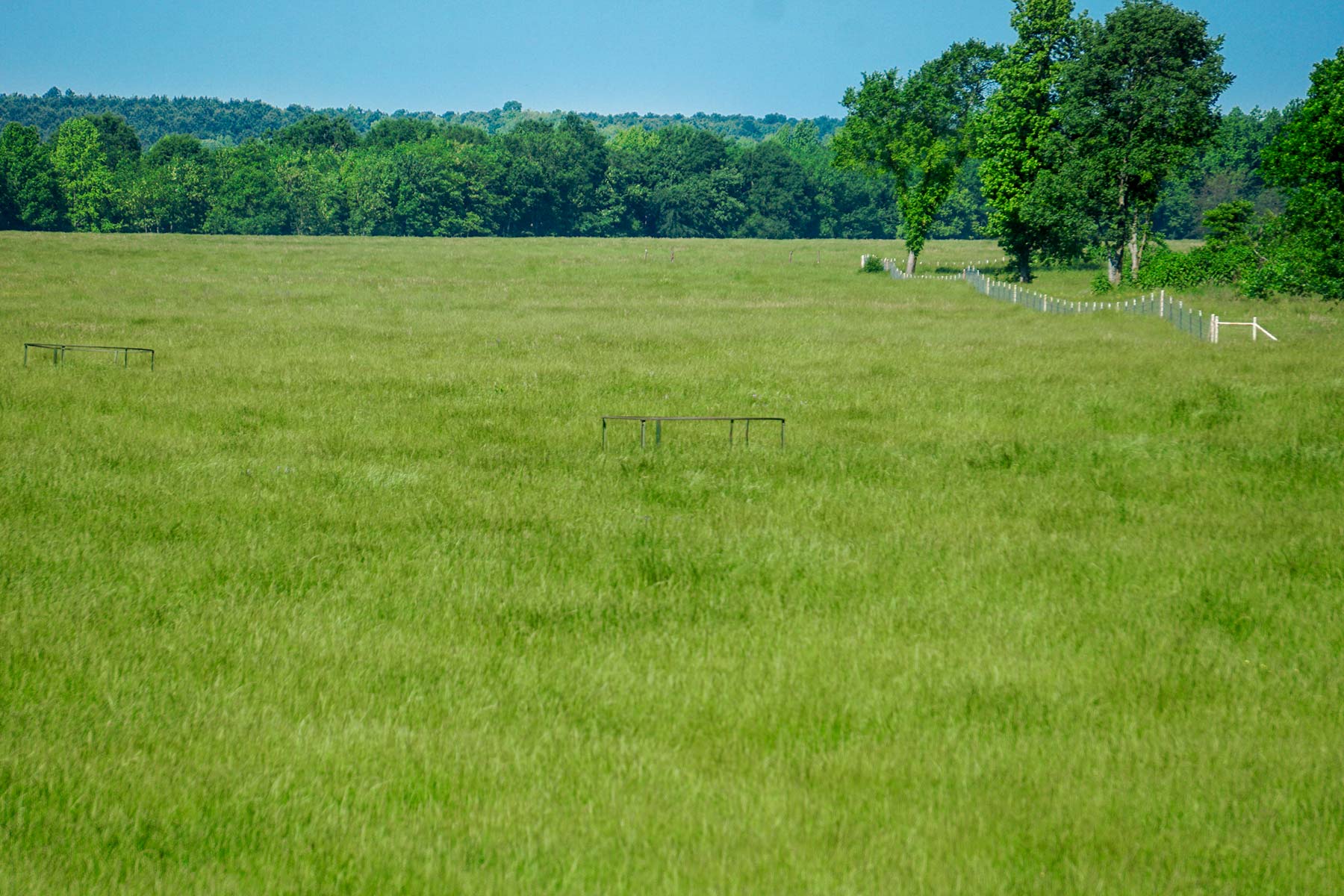 Pine Creek Ranch property picture 26 of 43