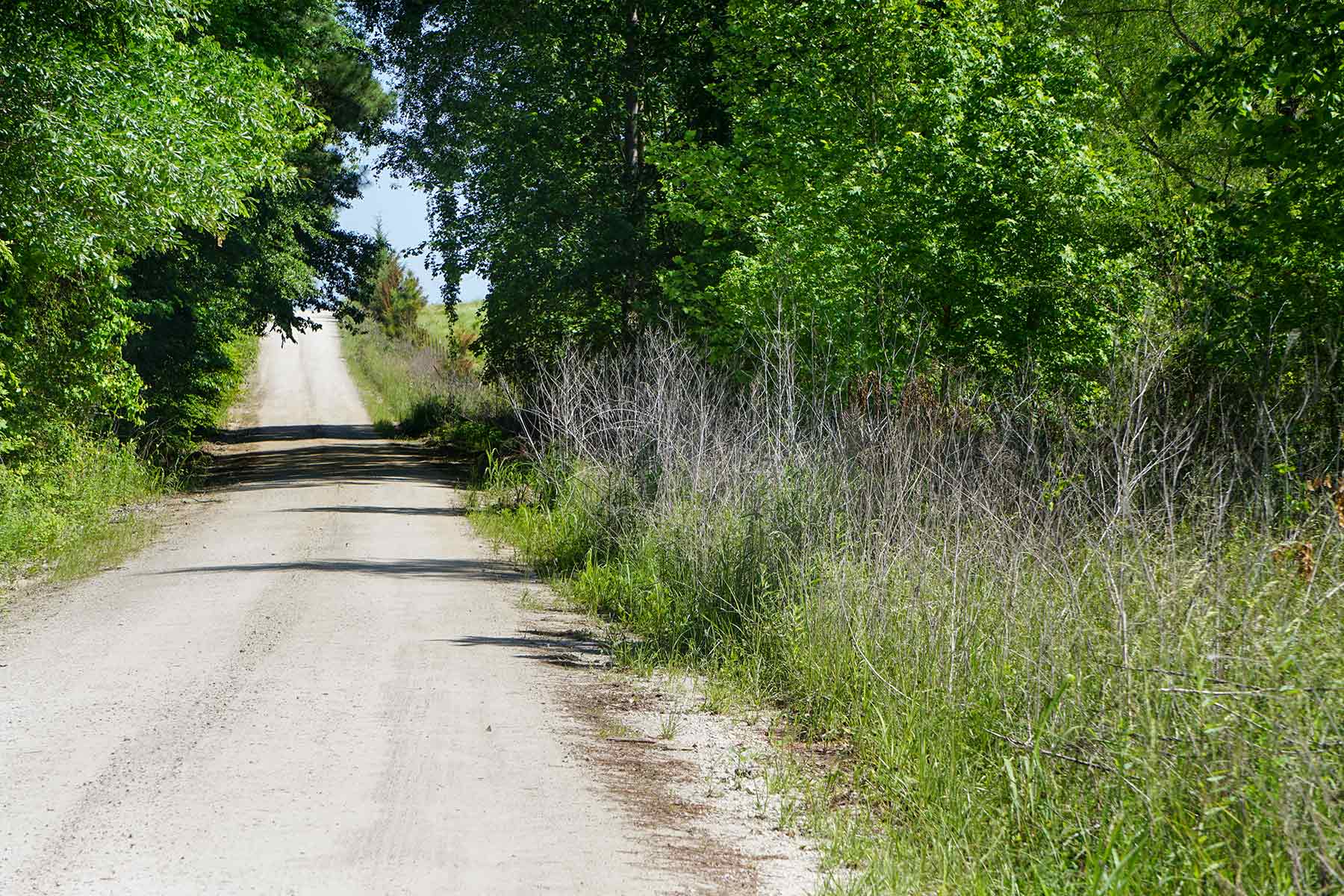 Pine Creek Ranch property picture 34 of 43
