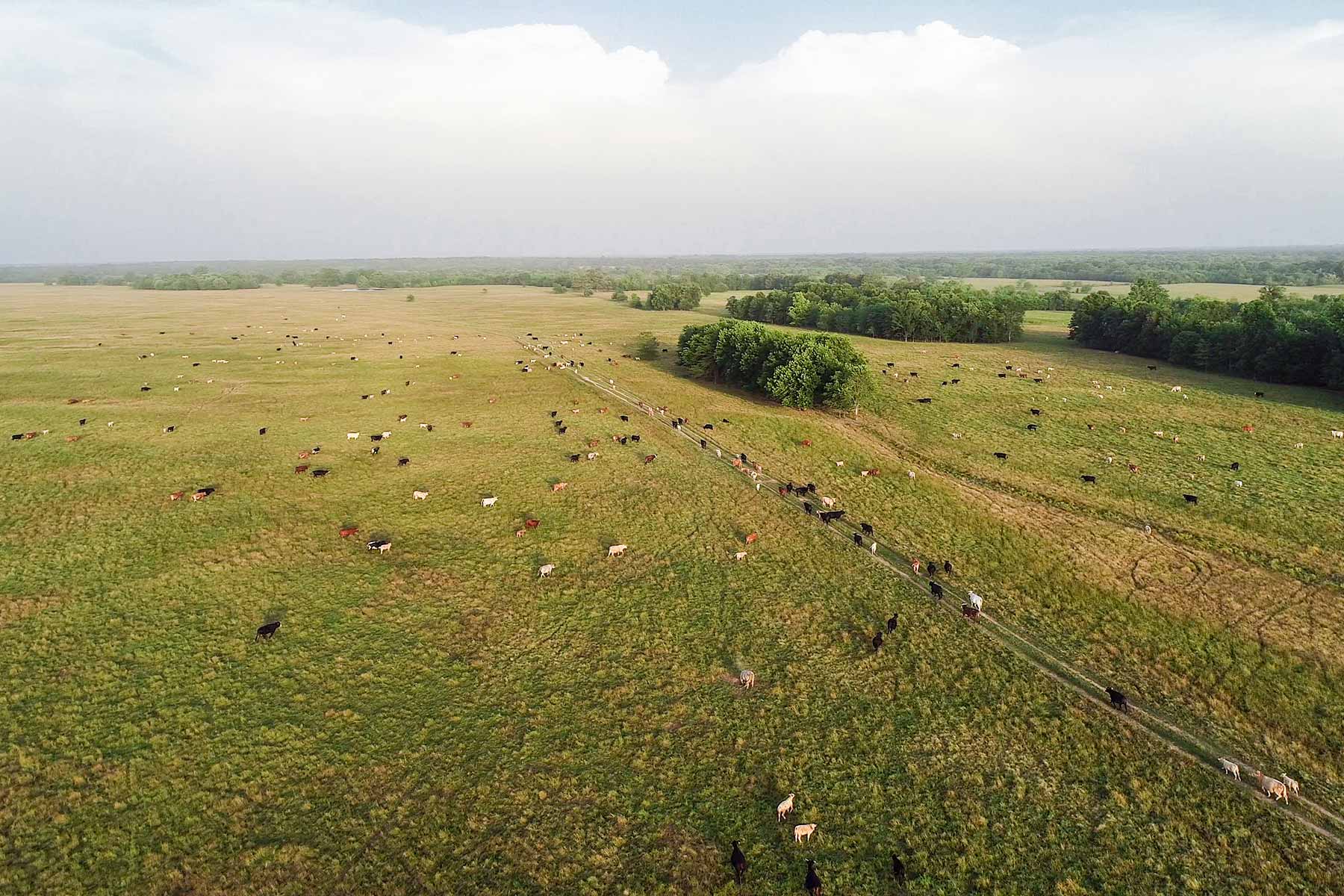 Pine Creek Ranch property picture 8 of 43