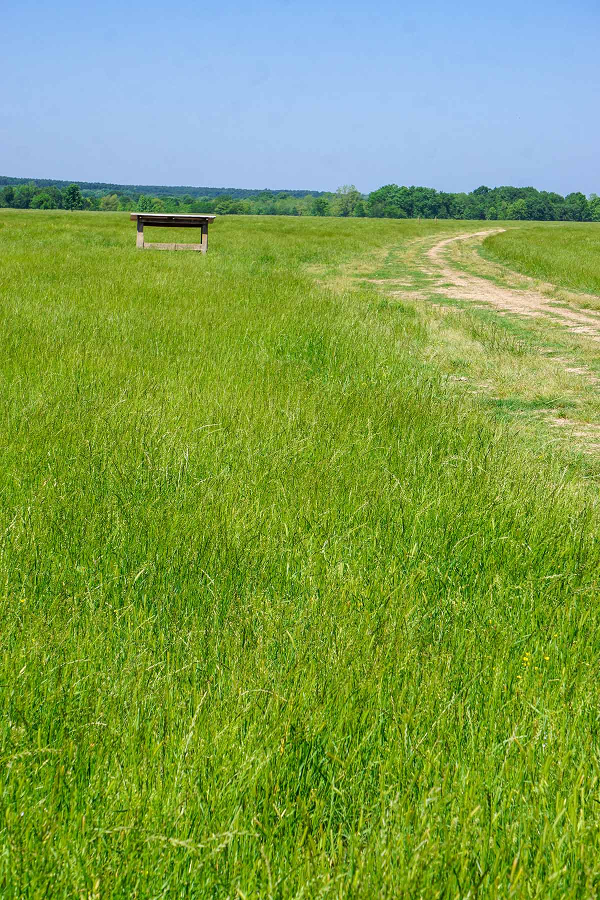 Pine Creek Ranch property picture 42 of 43