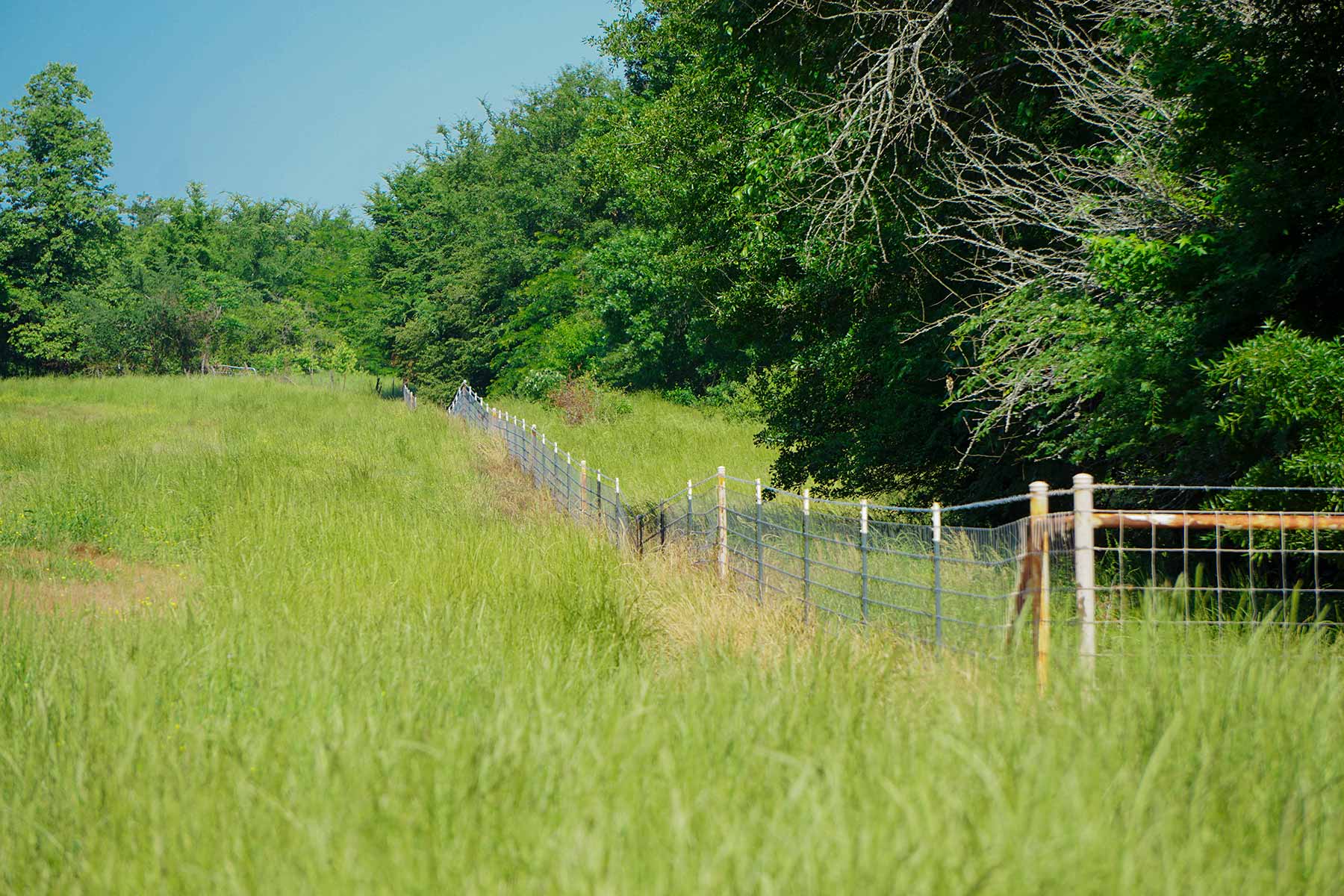 Pine Creek Ranch property picture 32 of 43