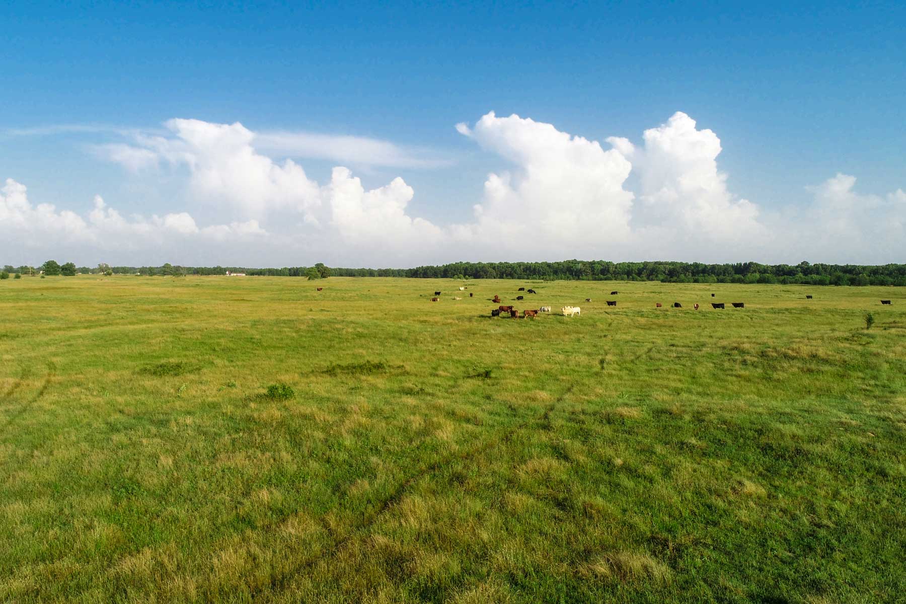 Pine Creek Ranch property picture 5 of 43